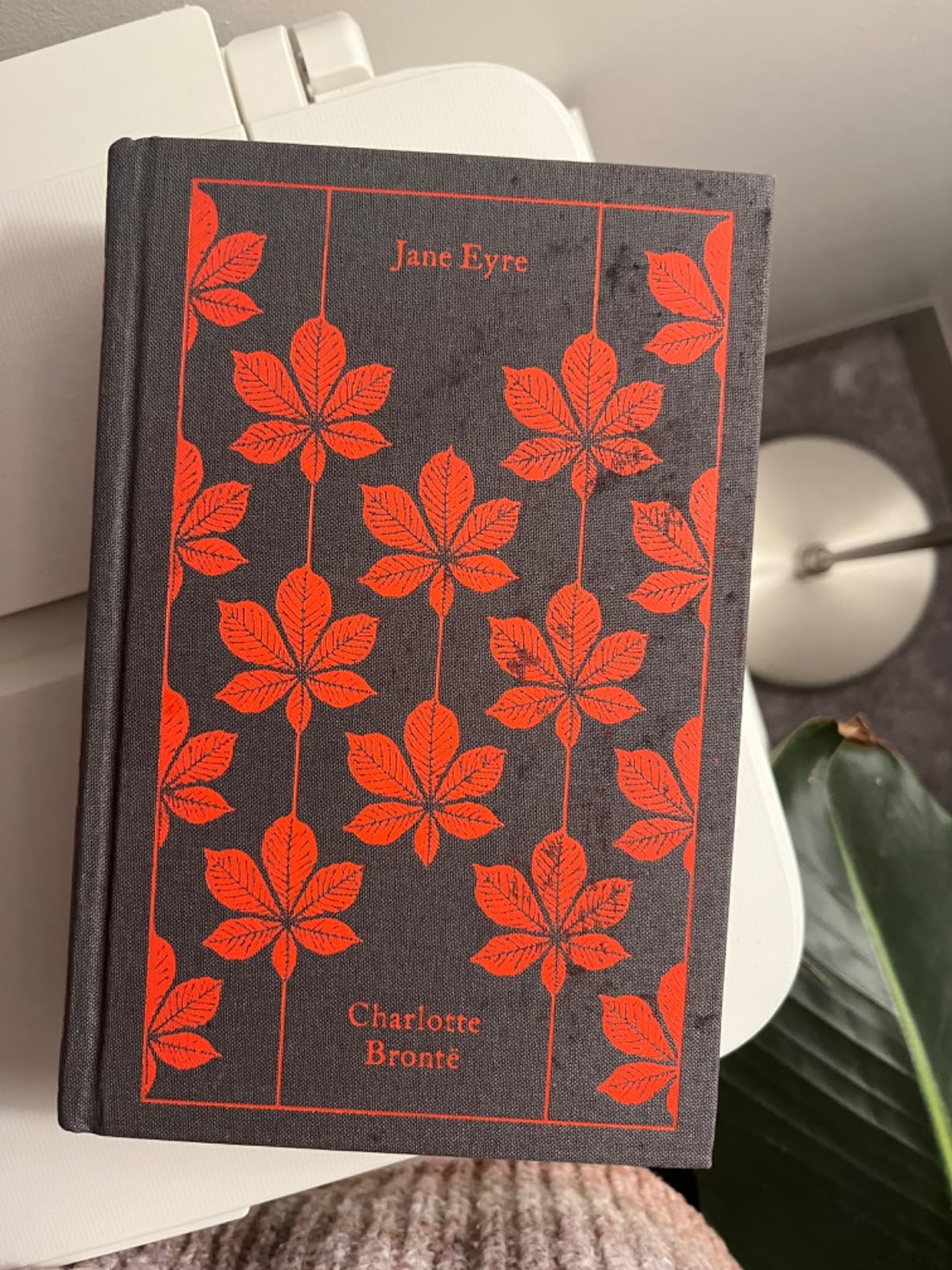 Jane Eyre (Penguin Clothbound Classics) customer photo 1
