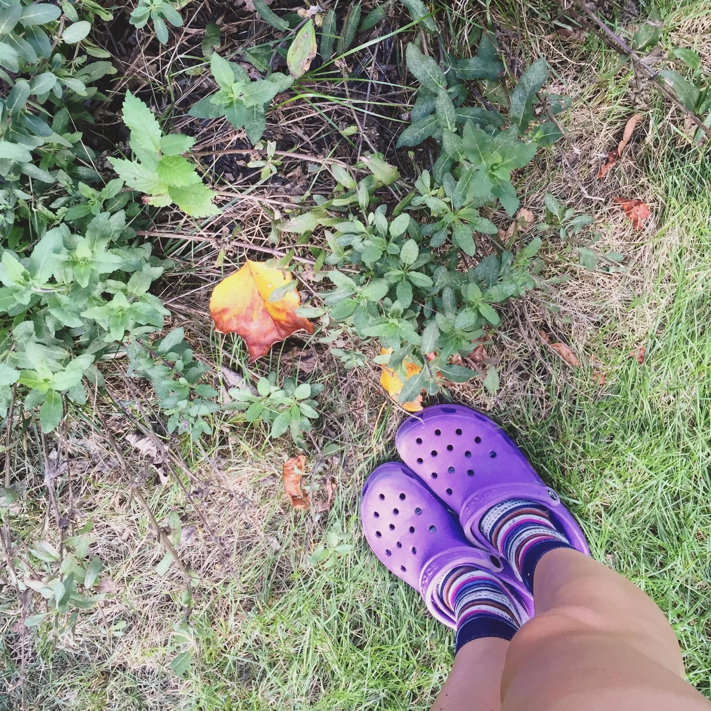 A Field Guide to Getting Lost customer photo 1
