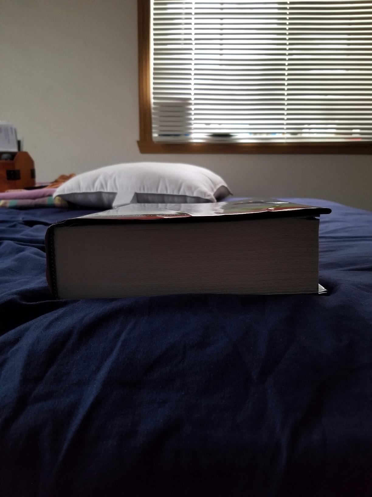New Oxford American Dictionary 3rd Edition customer photo 1
