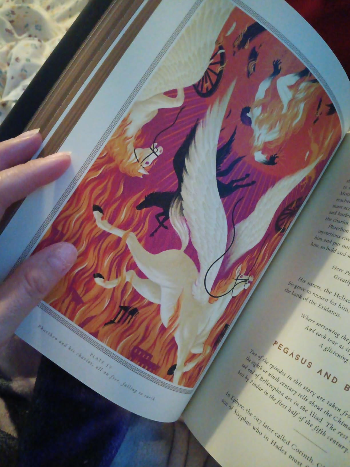 Mythology (75th Anniversary Illustrated Edition): Timeless Tales of Gods and Heroes customer photo 1