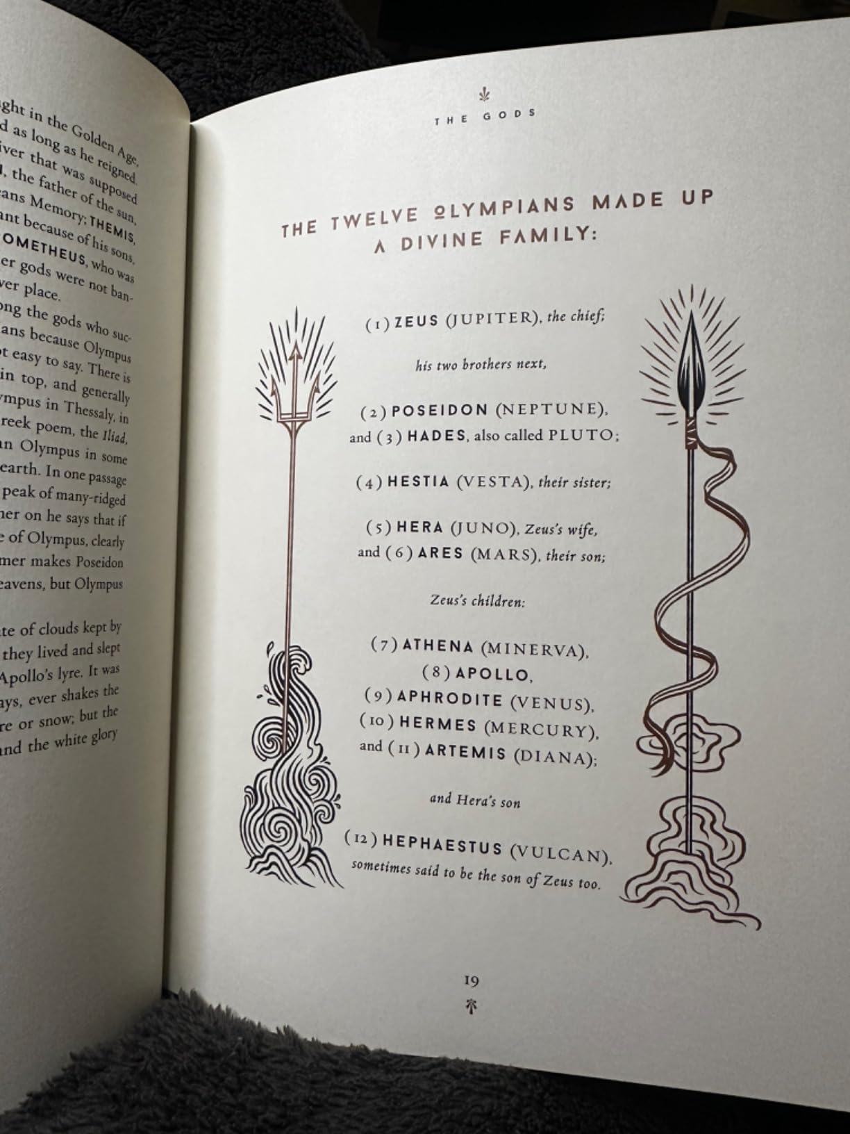 Mythology (75th Anniversary Illustrated Edition): Timeless Tales of Gods and Heroes customer photo 2