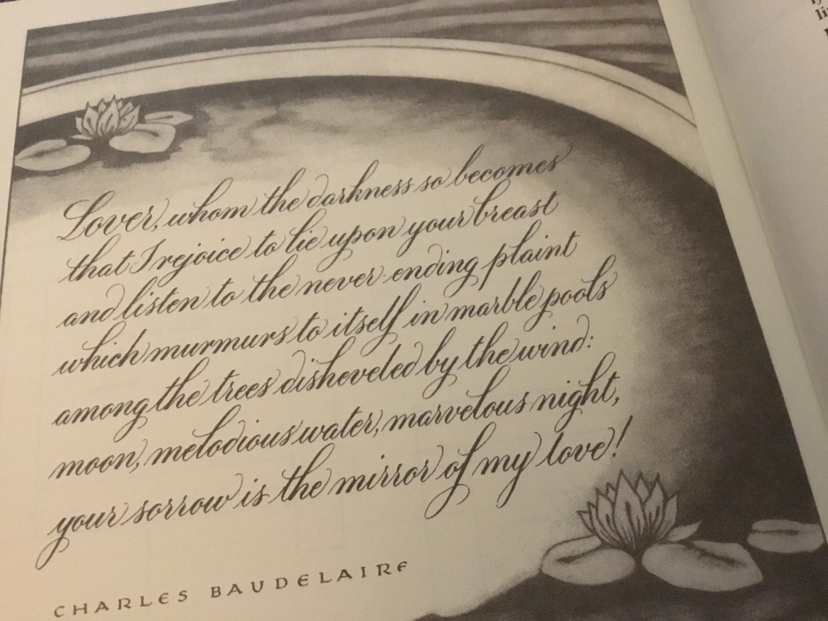 Mastering Copperplate Calligraphy: A Step-by-Step Manual (Lettering, Calligraphy, Typography) customer photo 2