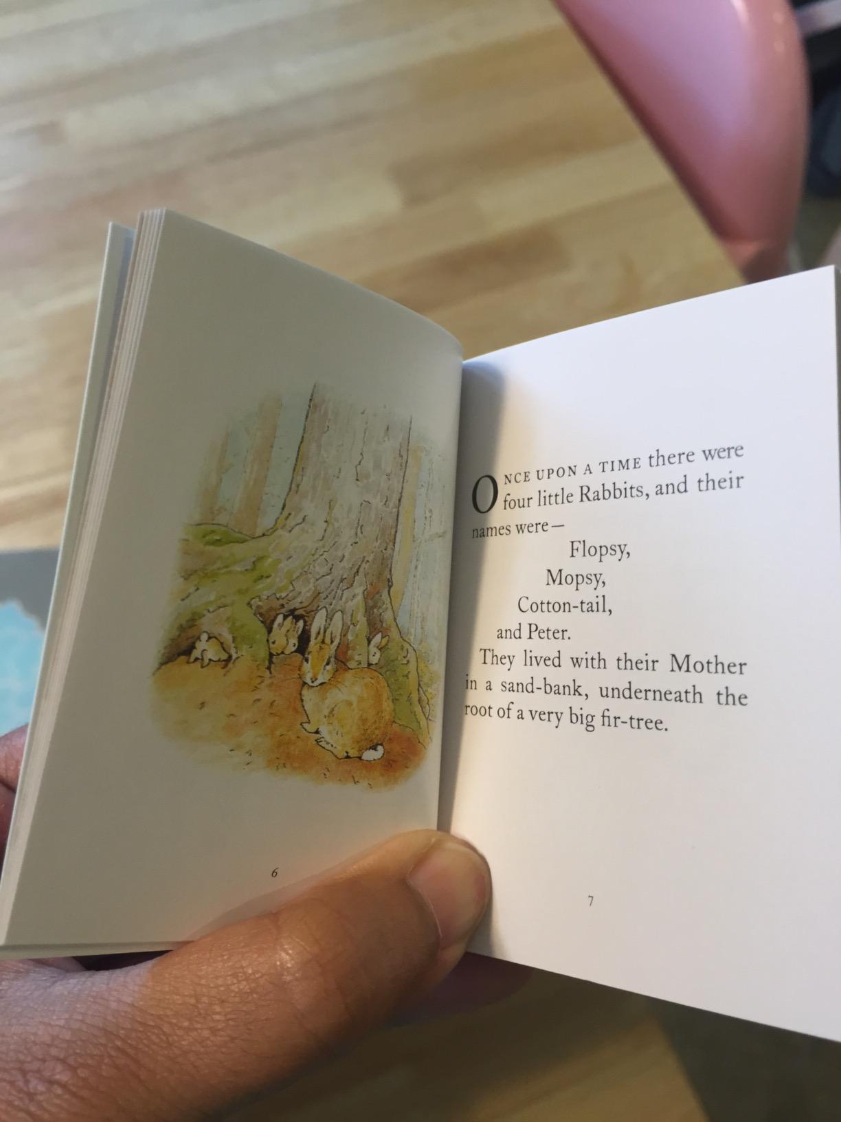 Miniature World of Peter Rabbit 12 copy Mini drawer R/I customer photo 1