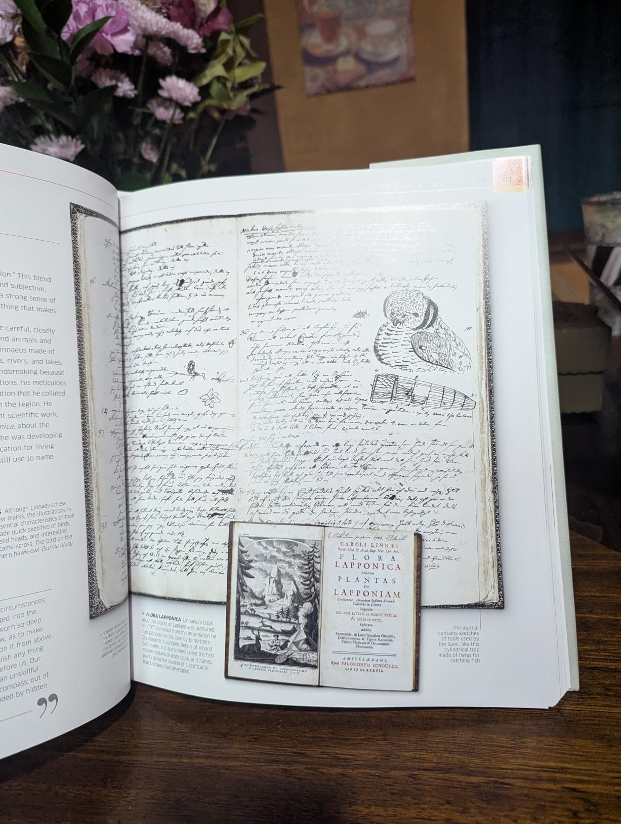 Remarkable Diaries: The World's Greatest Diaries, Journals, Notebooks, & Letters (DK History Changers) customer photo 1