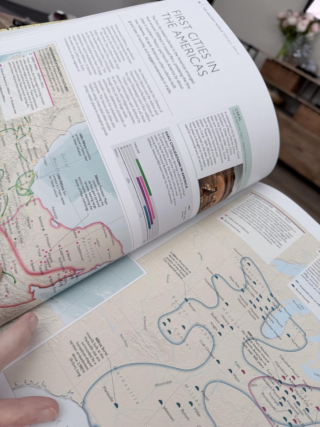 History of the World Map by Map (DK History Map by Map) customer photo 2