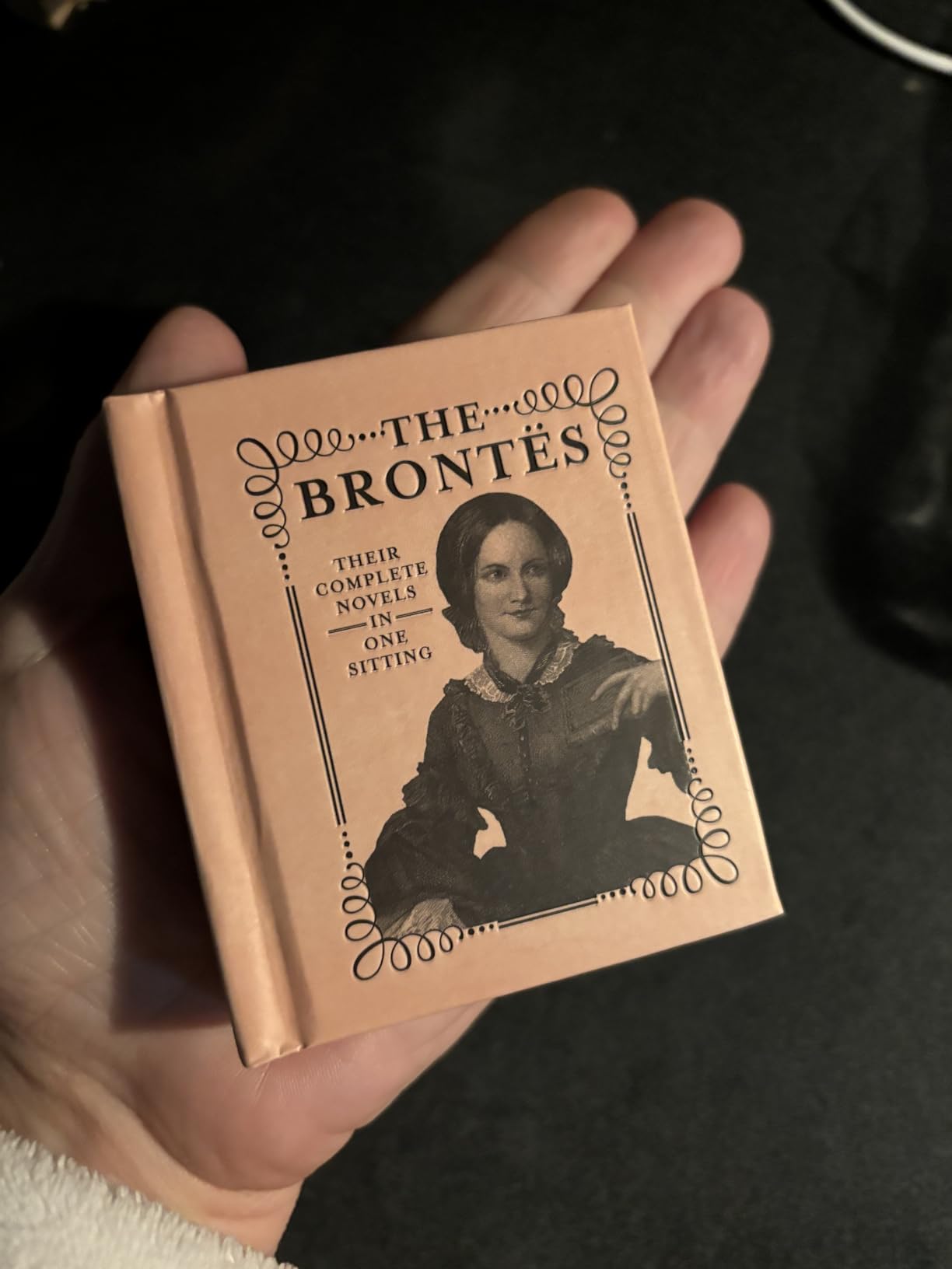 Literary Lover's Box Set (RP Minis) customer photo 2
