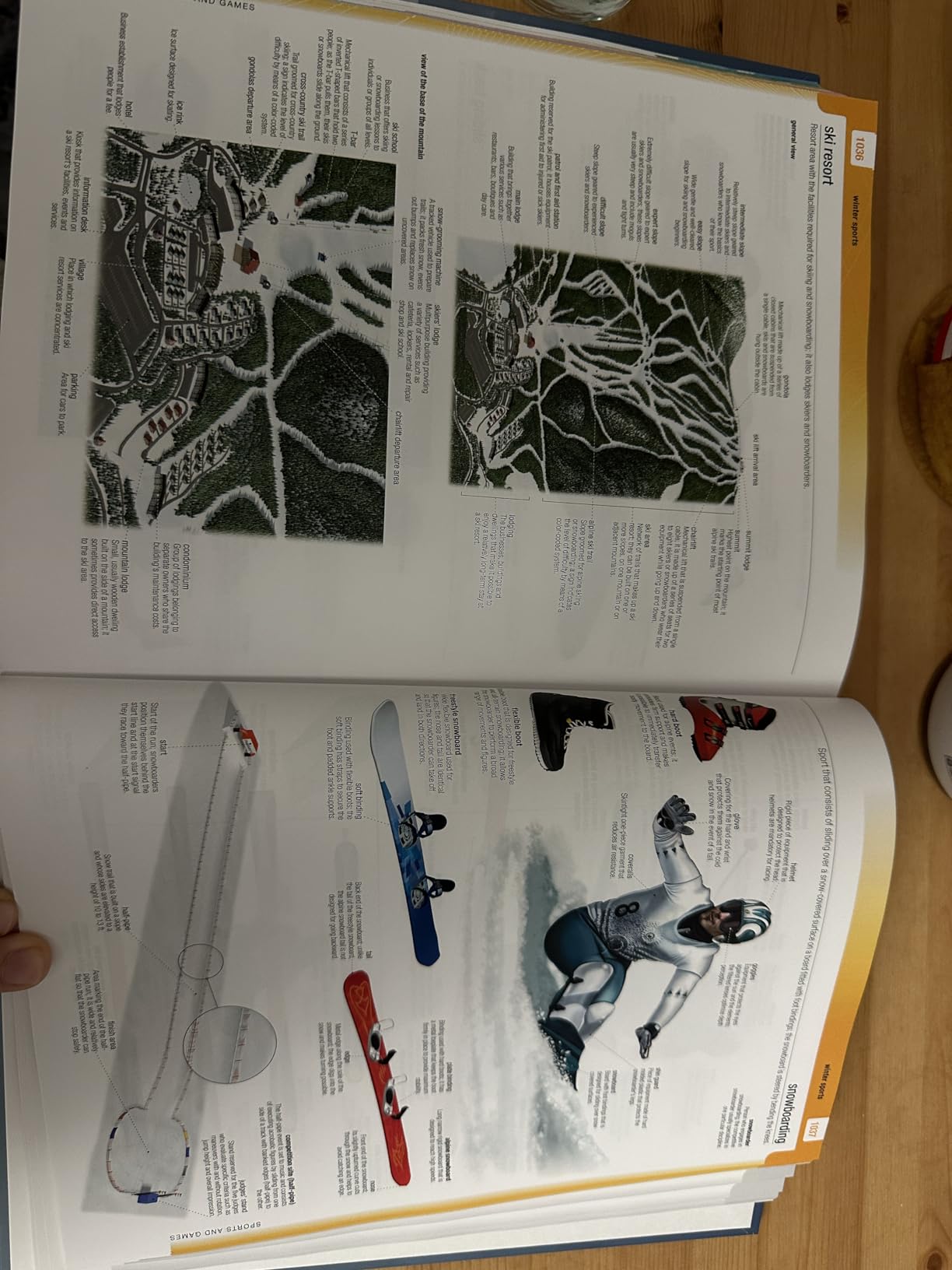 Merriam-Webster's Visual Dictionary: Second Edition - Newest Edition: Second Edition customer photo 2