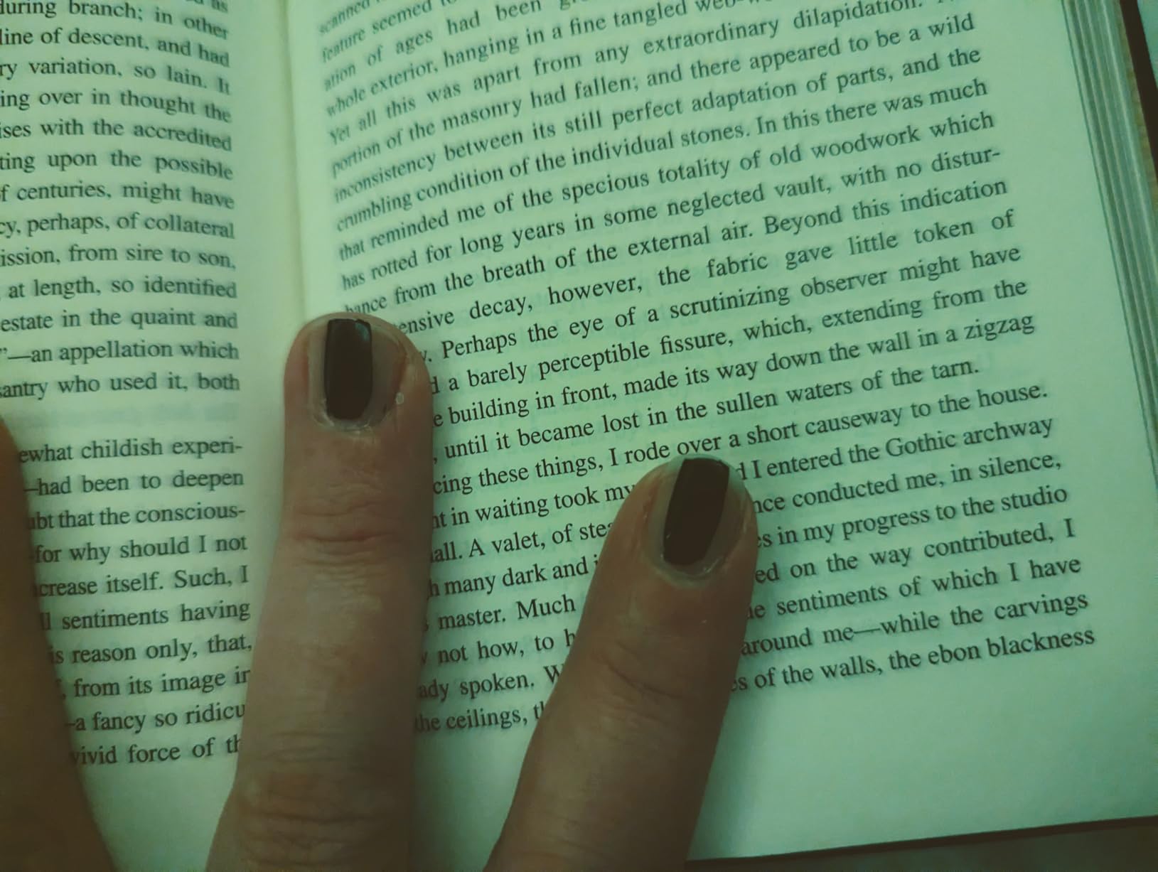 Edgar Allan Poe's Classic Tales of Horror: Gilded Pocket Edition (Arcturus Ornate Classics) customer photo 2