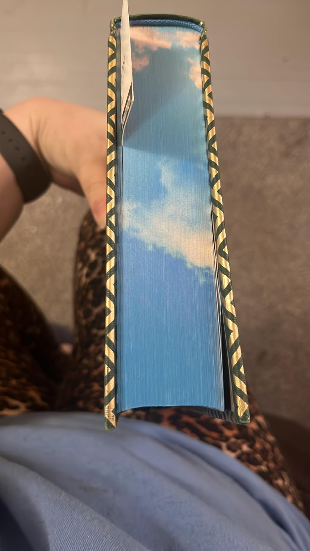 World Classics Library: Homer: The Iliad and The Odyssey customer photo 1