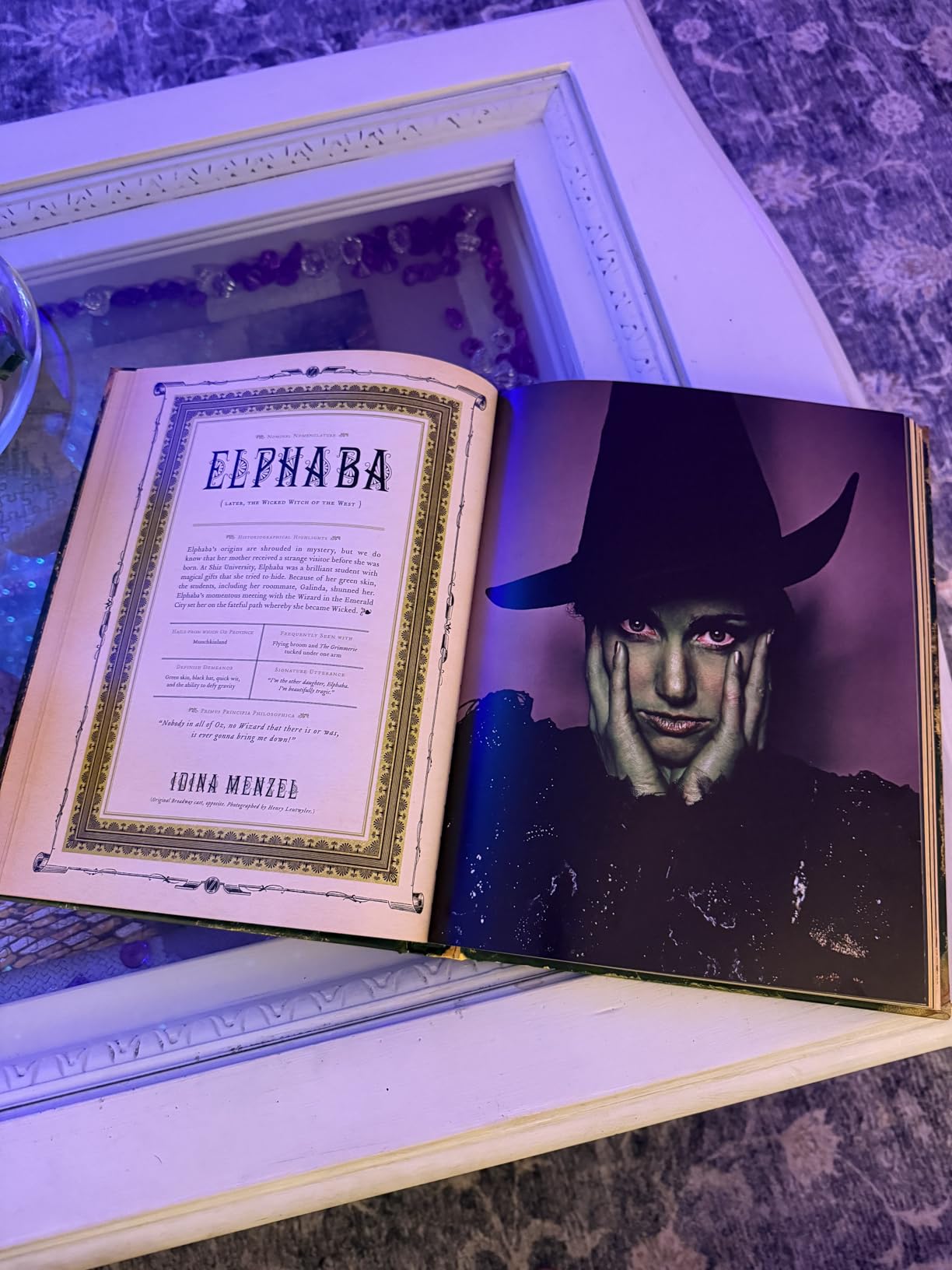 Wicked: The Grimmerie, a Behind-the-Scenes Look at the Hit Broadway Musical customer photo 2
