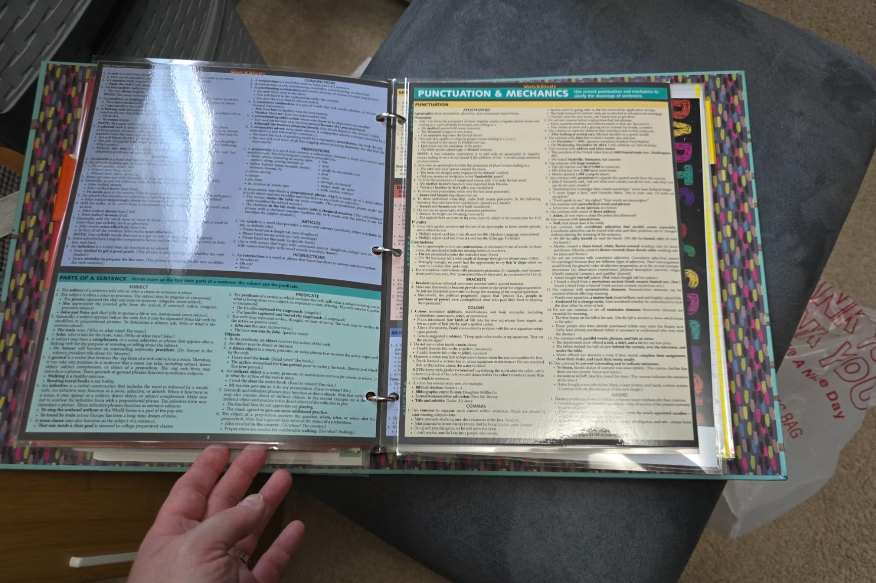 English Grammar & Punctuation: a QuickStudy Laminated Reference Guide (QuickStudy Academic) customer photo 2