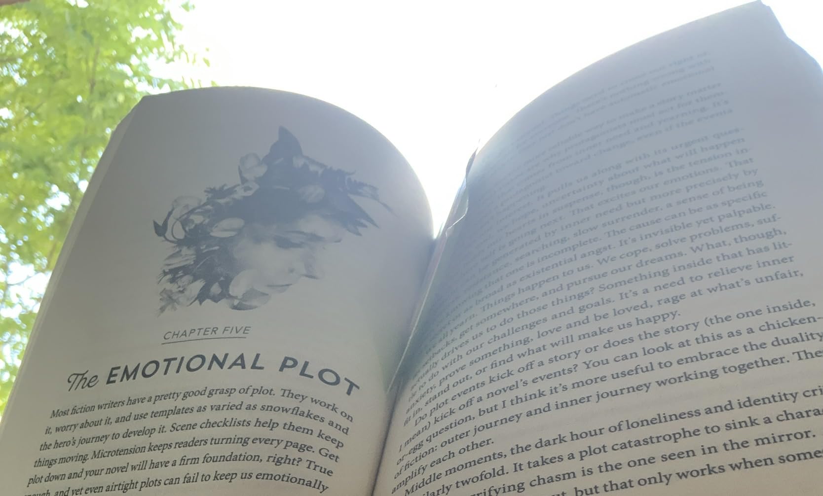 The Emotional Craft of Fiction: How to Write the Story Beneath the Surface customer photo 1