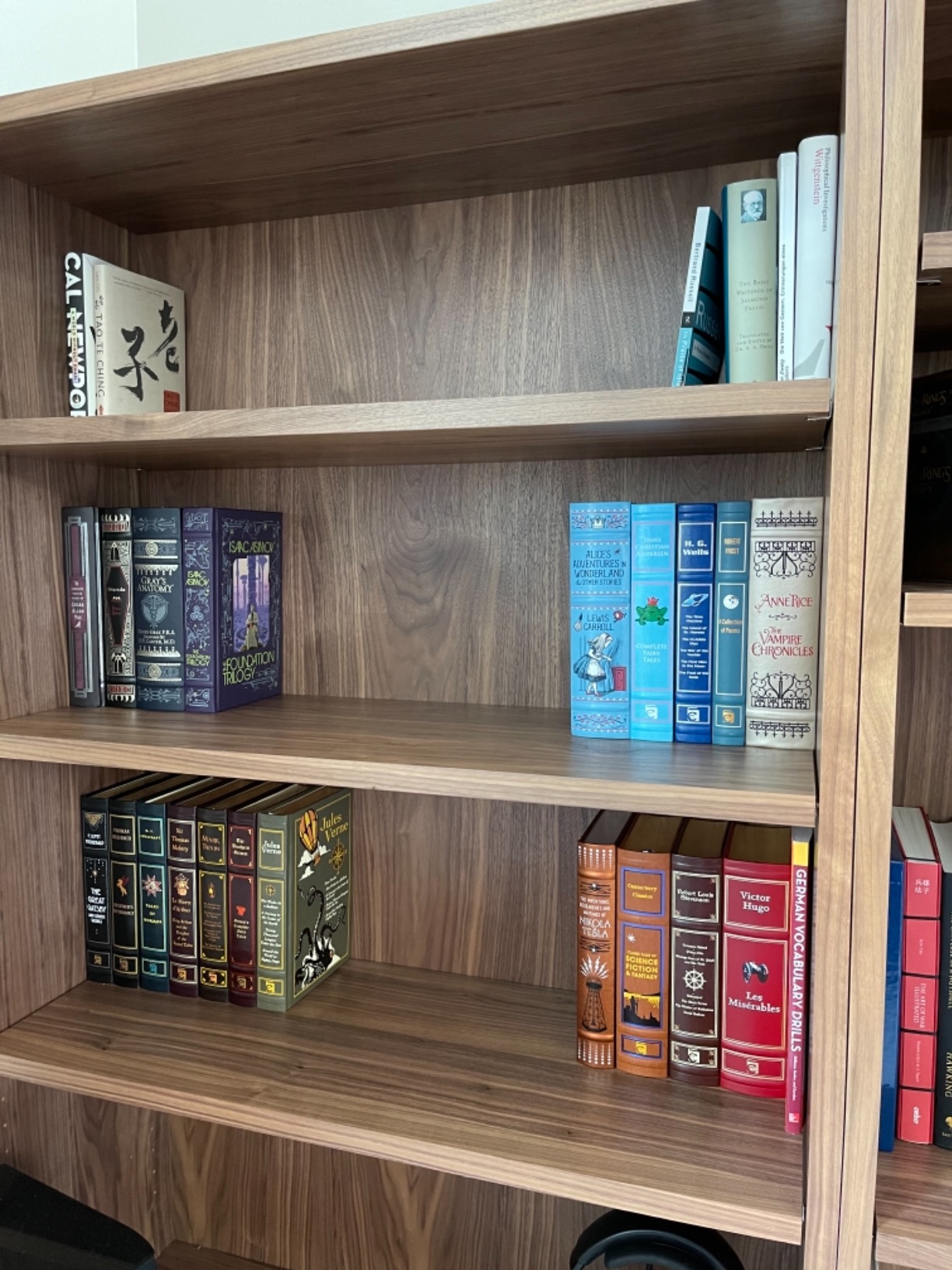 Jules Verne (Leather-bound Classics) customer photo 2