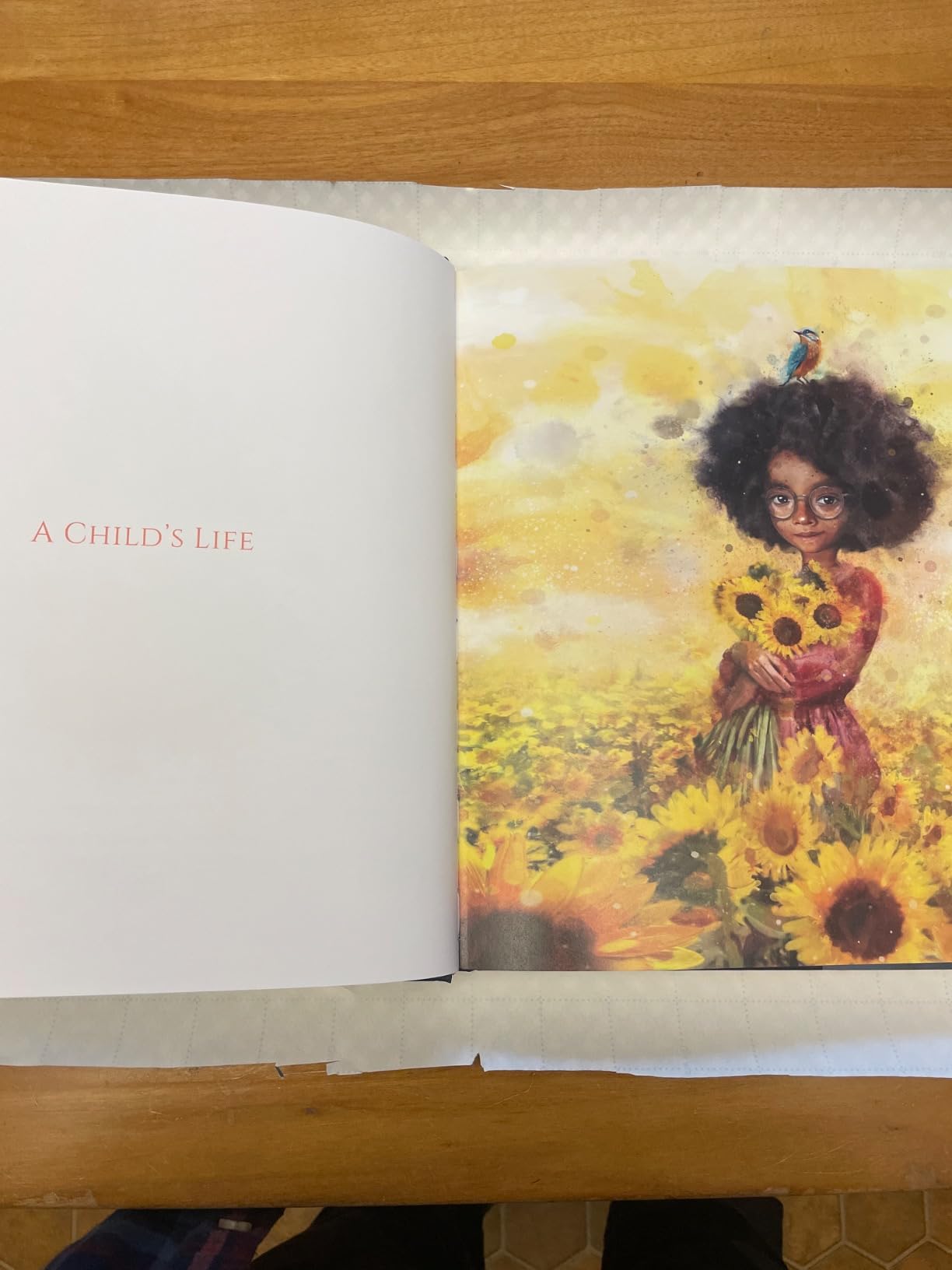 All The Colors of Life: Deluxe Gift Edition: An illustrated coffee table book for occasions and celebrations customer photo 2