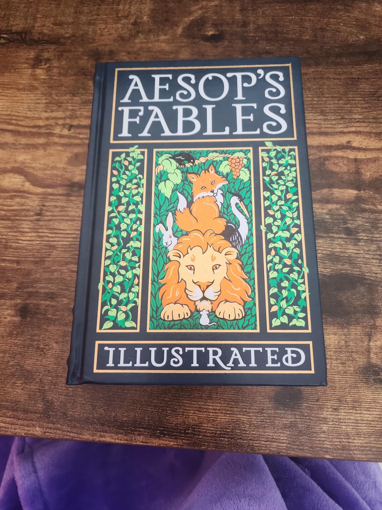 Aesop's Fables Illustrated (Leather-bound Classics) customer photo 2
