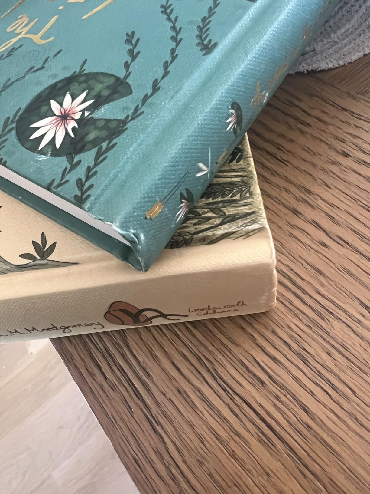Peter Pan (Wordsworth Collector's Editions) customer photo 1
