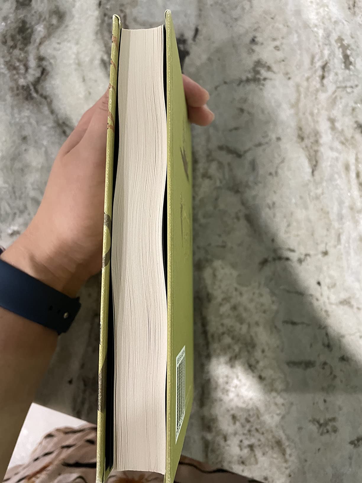 Peter Pan (Wordsworth Collector's Editions) customer photo 2