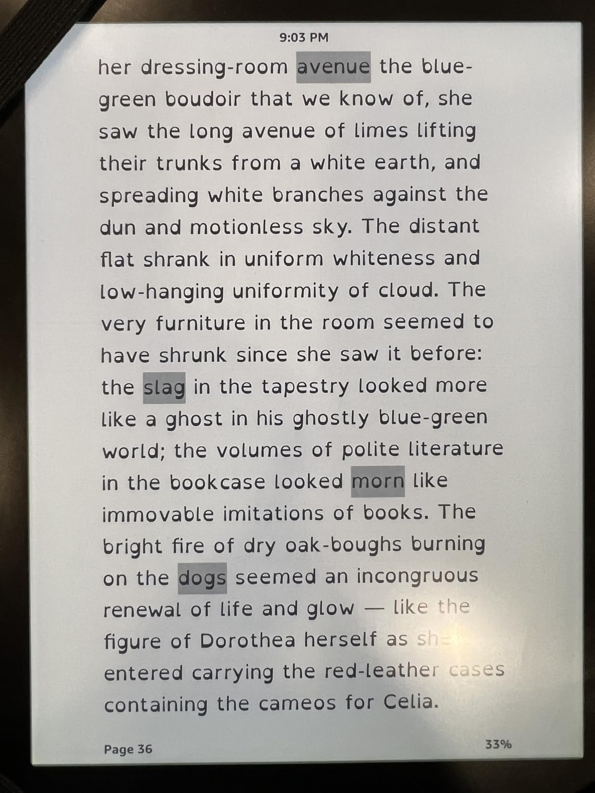 Middlemarch (Wordsworth Collector's Edition) customer photo 2