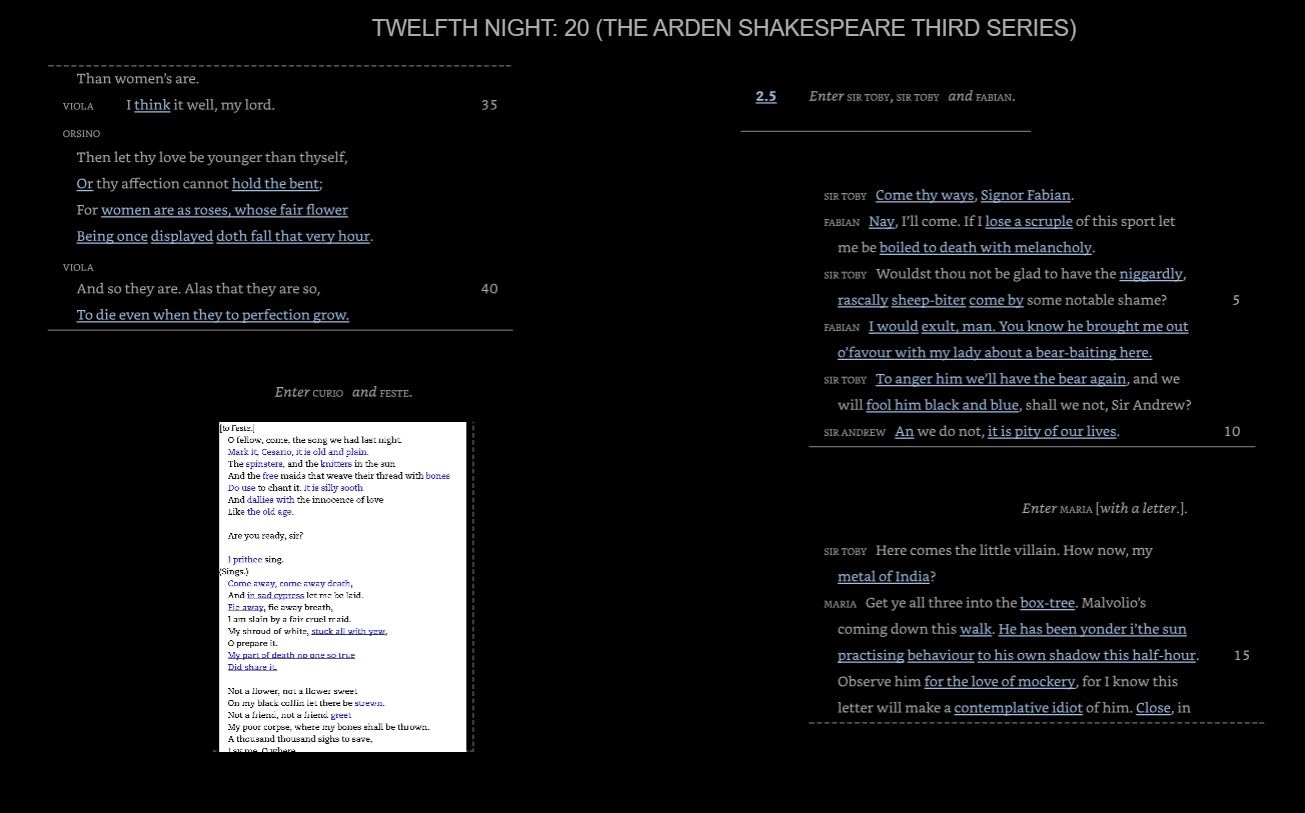 Twelfth Night: Third Series (The Arden Shakespeare Third Series, 20) customer photo 1