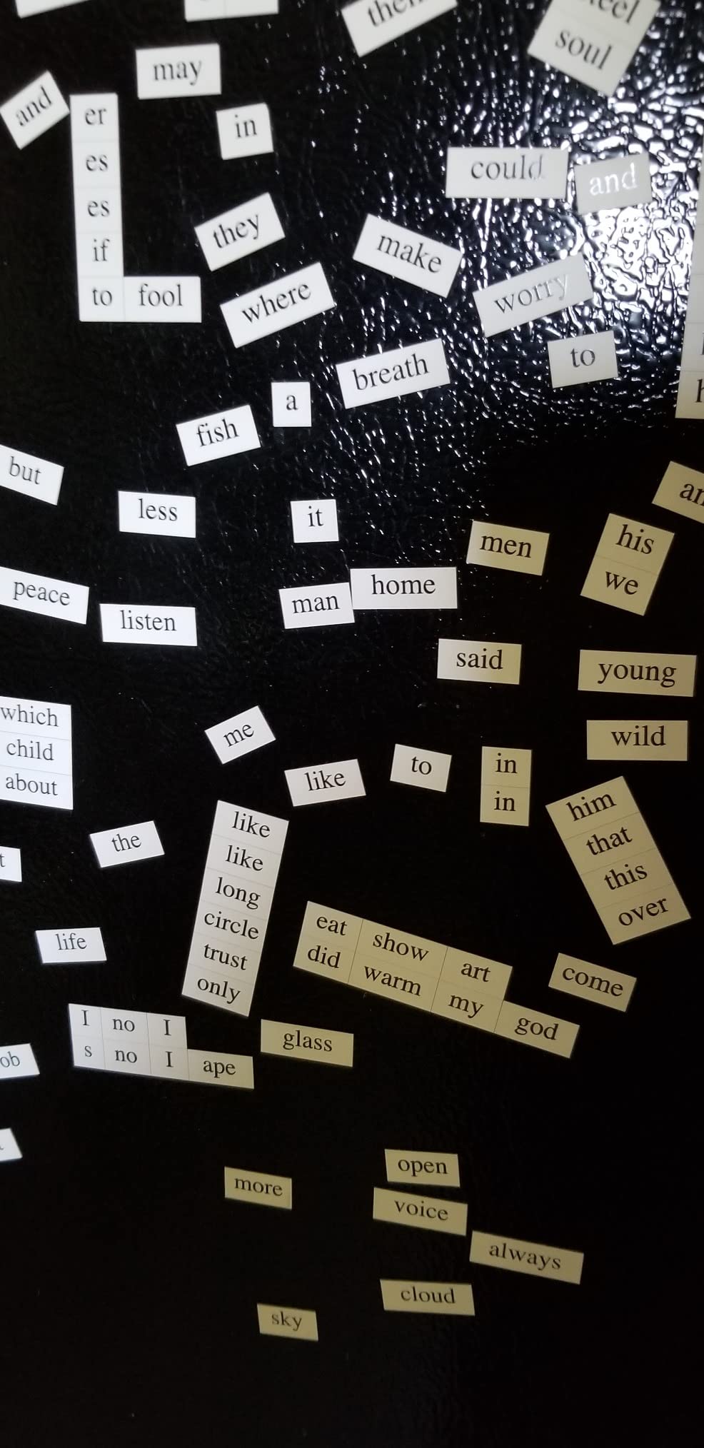 The Poet Edition: Magnetic Poetry Kit customer photo 1