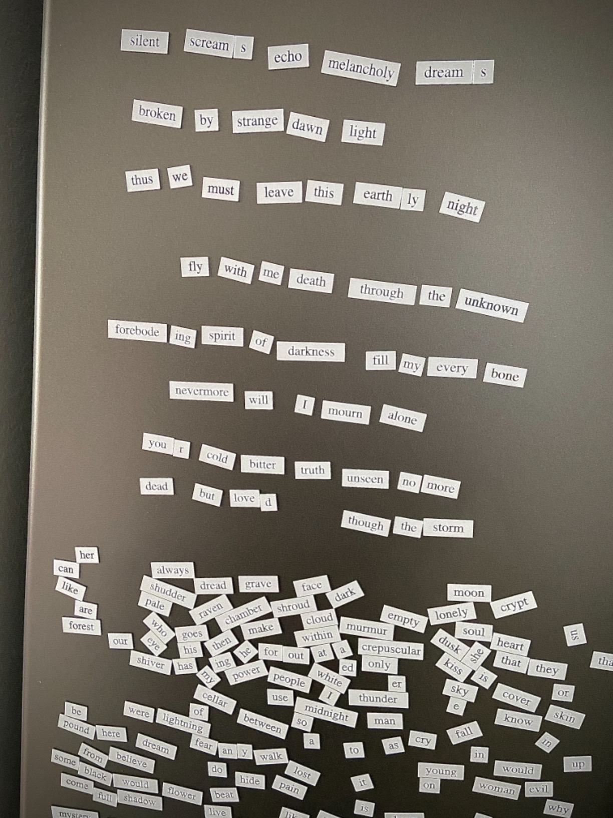 Edgar Allan Poet: Magnetic Poetry Kit customer photo 1