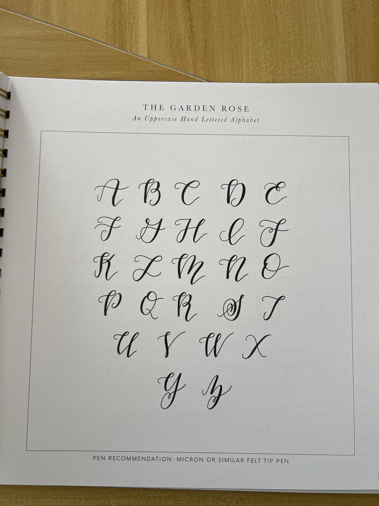 Pretty Simple Lettering: A Step-by-Step Hand Lettering and Modern Calligraphy Workbook for Beginners (Premium Spiral-Bound Hardcover) customer photo 1
