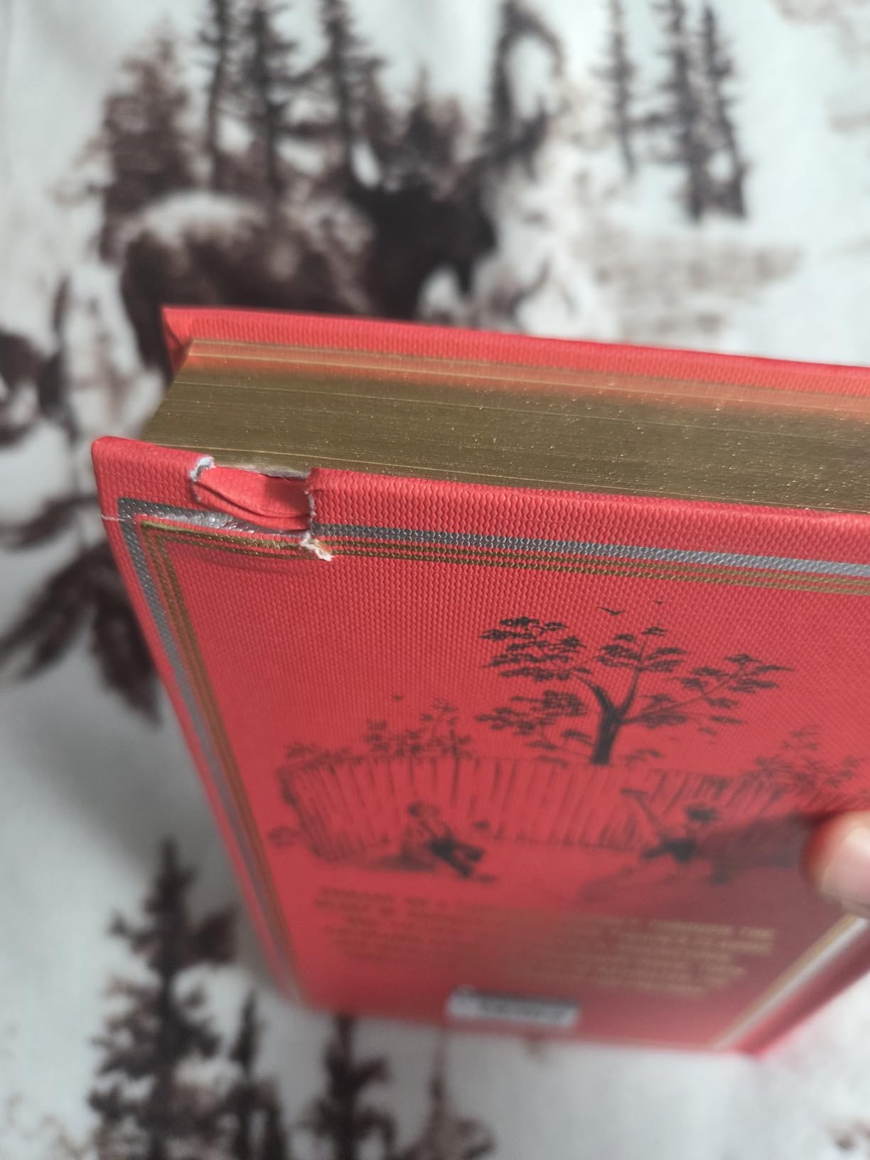 The Adventures of Tom Sawyer & Adventures of Huckleberry Finn (Deluxe Hardbound Edition) - Fingerprint Classics customer photo 1