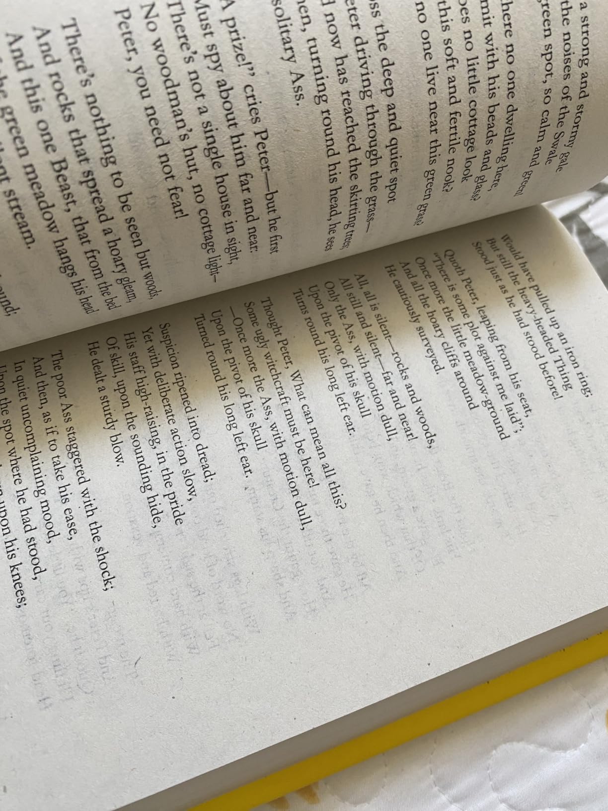 100 Selected Poems, William Wordsworth: Collectable Hardbound edition customer photo 2