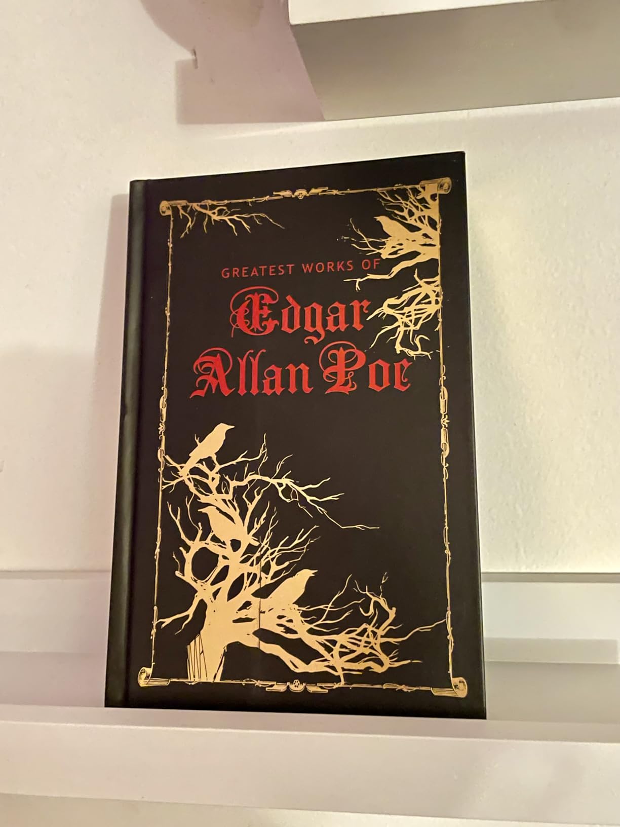 Greatest Works of Edgar Allan Poe (Deluxe Hardbound Edition) customer photo 2