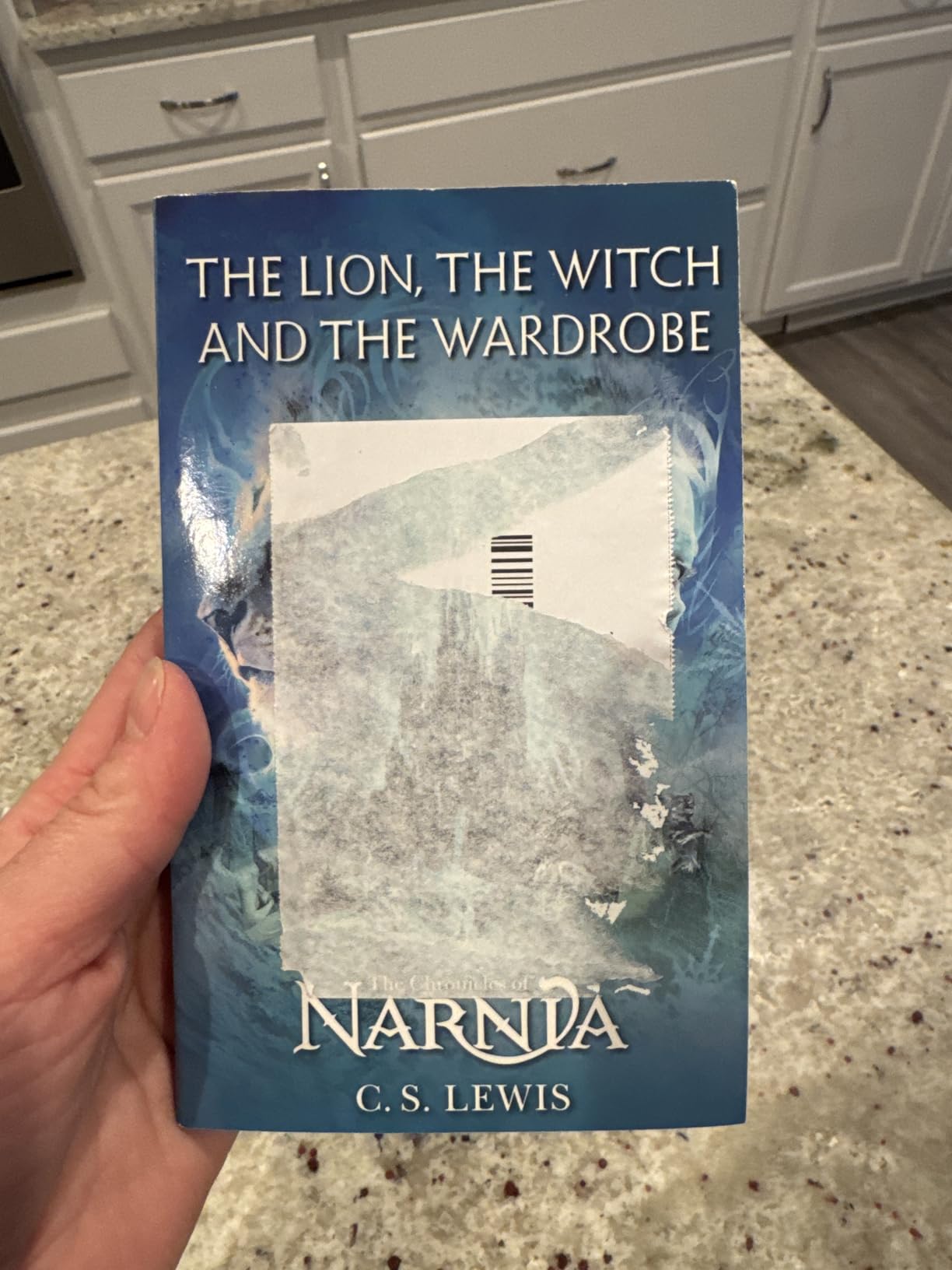 The Chronicles of Narnia: The Lion, The Witch and the Wardrobe (Collector's Edition) customer photo 1