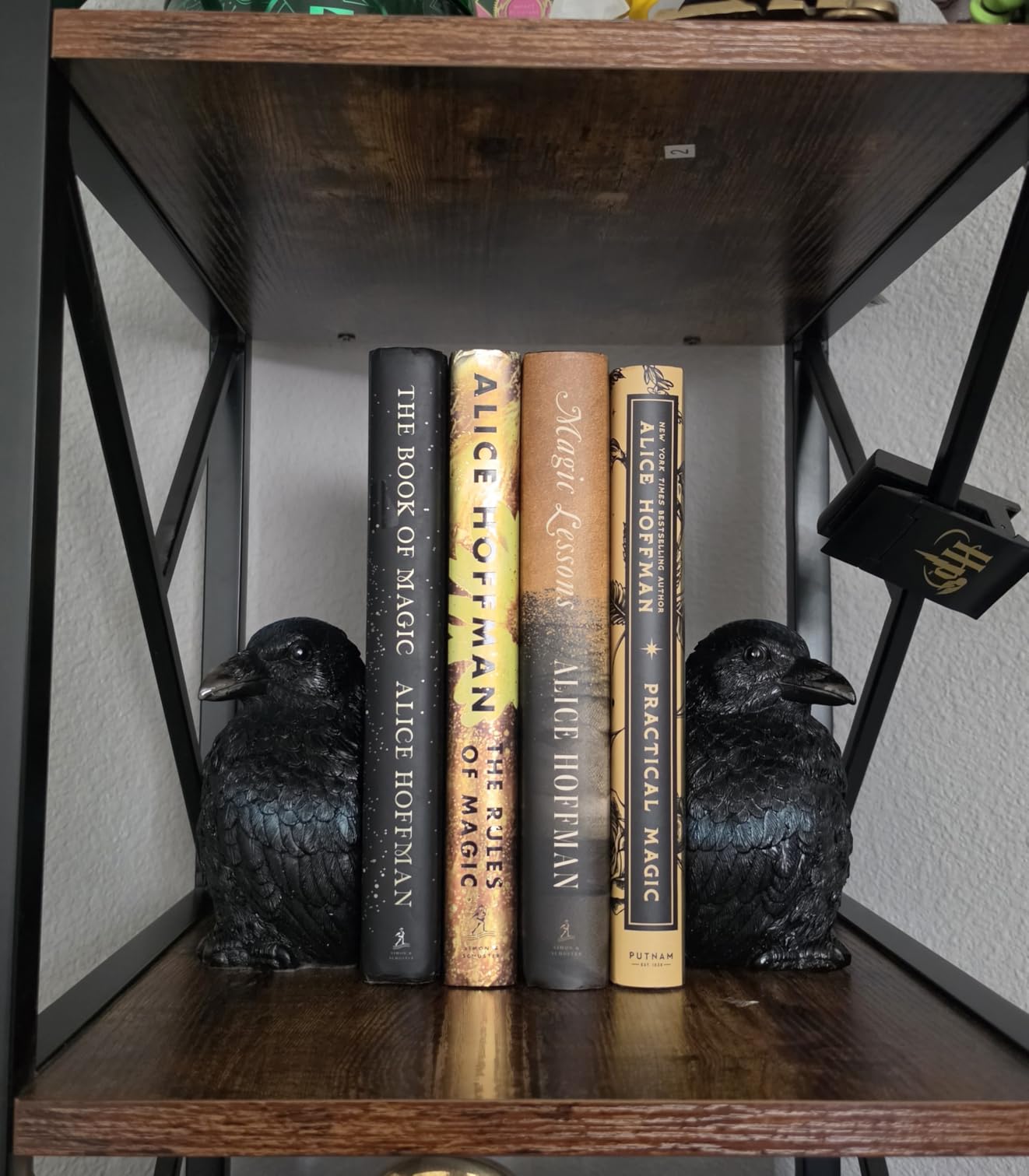 Streamline Imagined Raven Bookends Decor for Home - Edgar Allan Poe Inspired Gothic Literary Decor customer photo 1