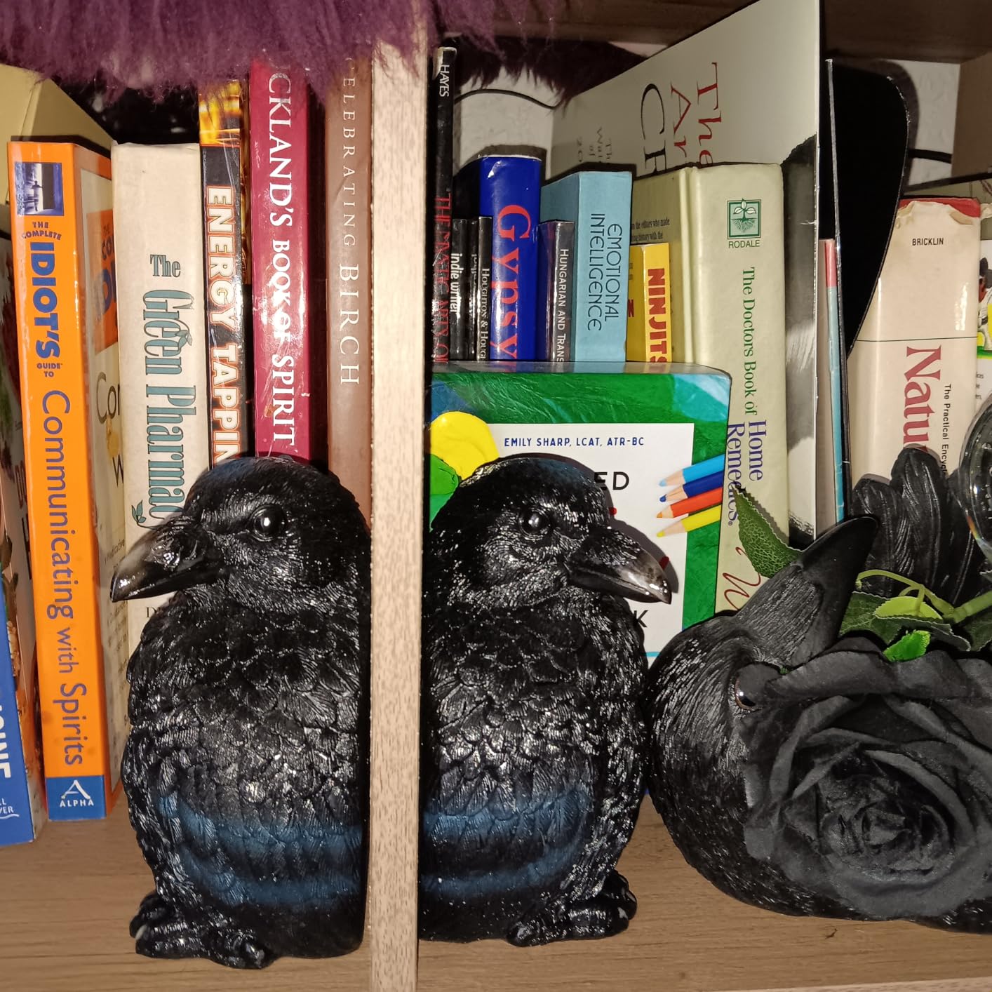 Streamline Imagined Raven Bookends Decor for Home - Edgar Allan Poe Inspired Gothic Literary Decor customer photo 2
