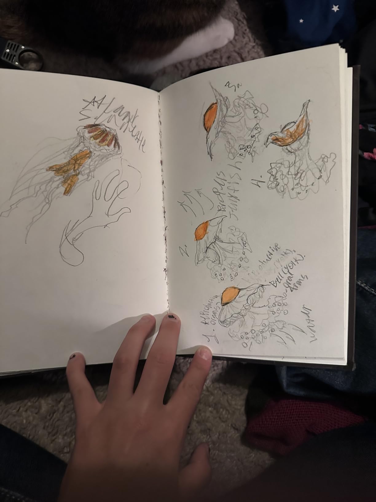 Strathmore 500 Series Hardcover Mixed Media Journal, 90 lb. Vellum Paper, 5.5 X 8.5 inches, 64 Pages (566-5) customer photo 1