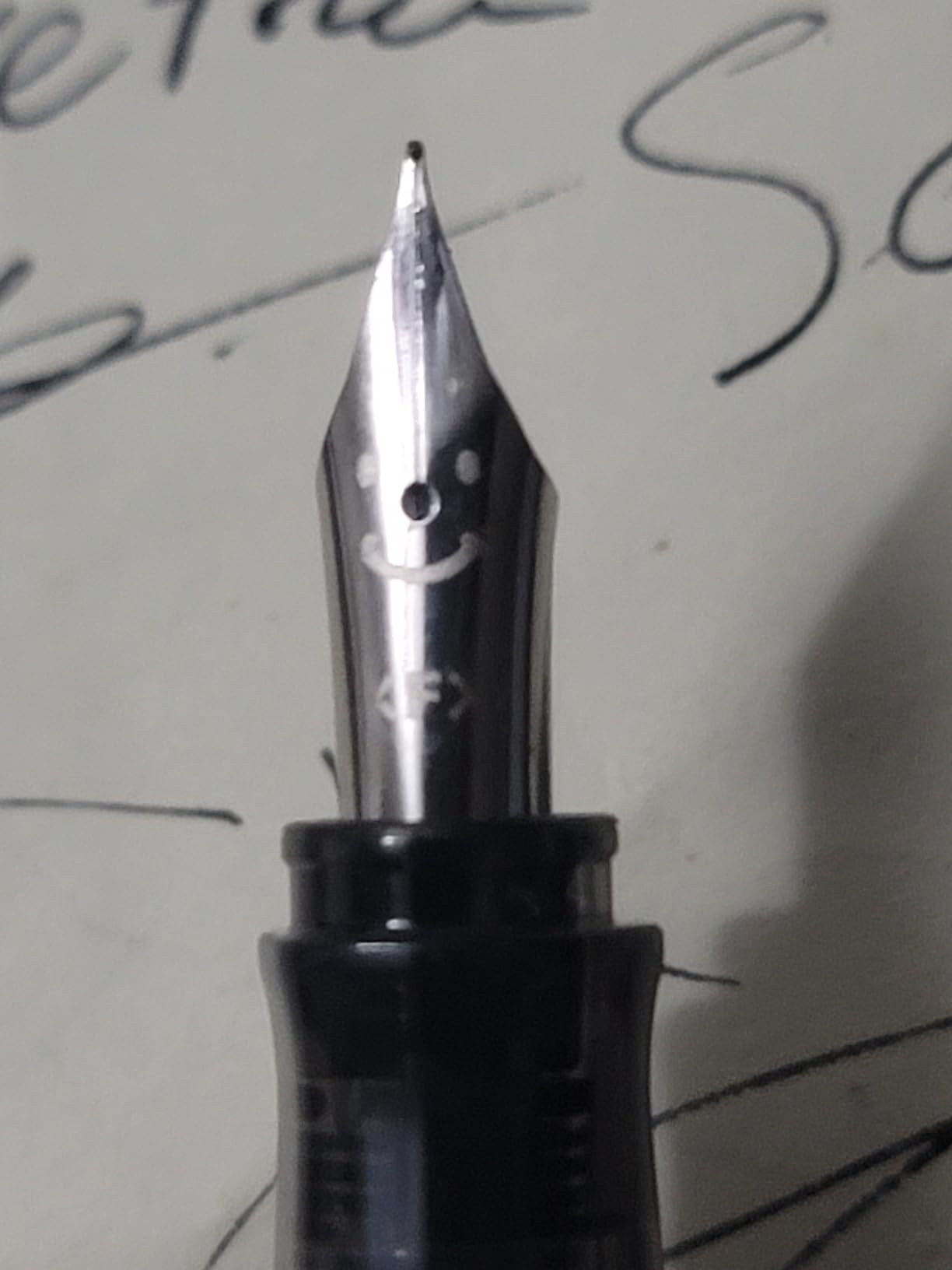 Pilot Kakuno Fountain Pen for Beginners, Fine Nib, Gray Body customer photo 1