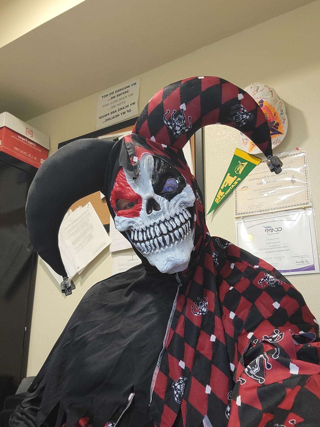 California Costumes Men's Sinister Jester Mardi Gras Carnival Costumes customer photo 1