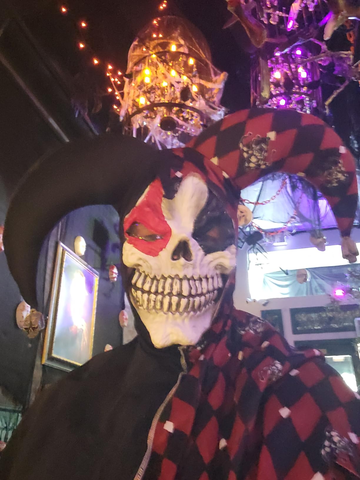 California Costumes Men's Sinister Jester Mardi Gras Carnival Costumes customer photo 2