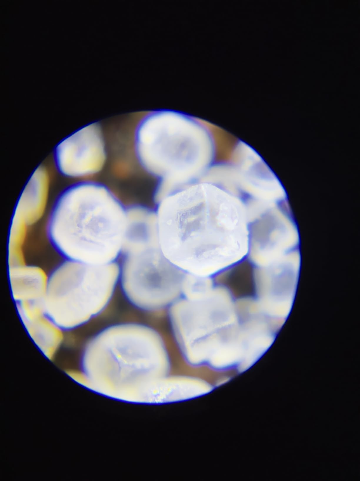 Carson MicroBrite Plus 60x-120x LED Lighted Pocket Microscope (MM-300) customer photo 1
