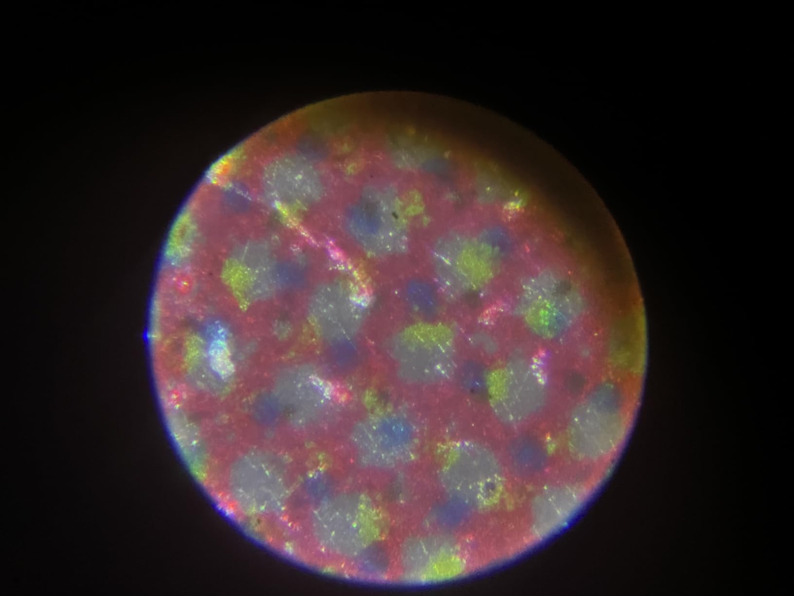 Carson MicroFlip 100x-250x LED UV Pocket Microscope with Smartphone Clip (MP-250) customer photo 1