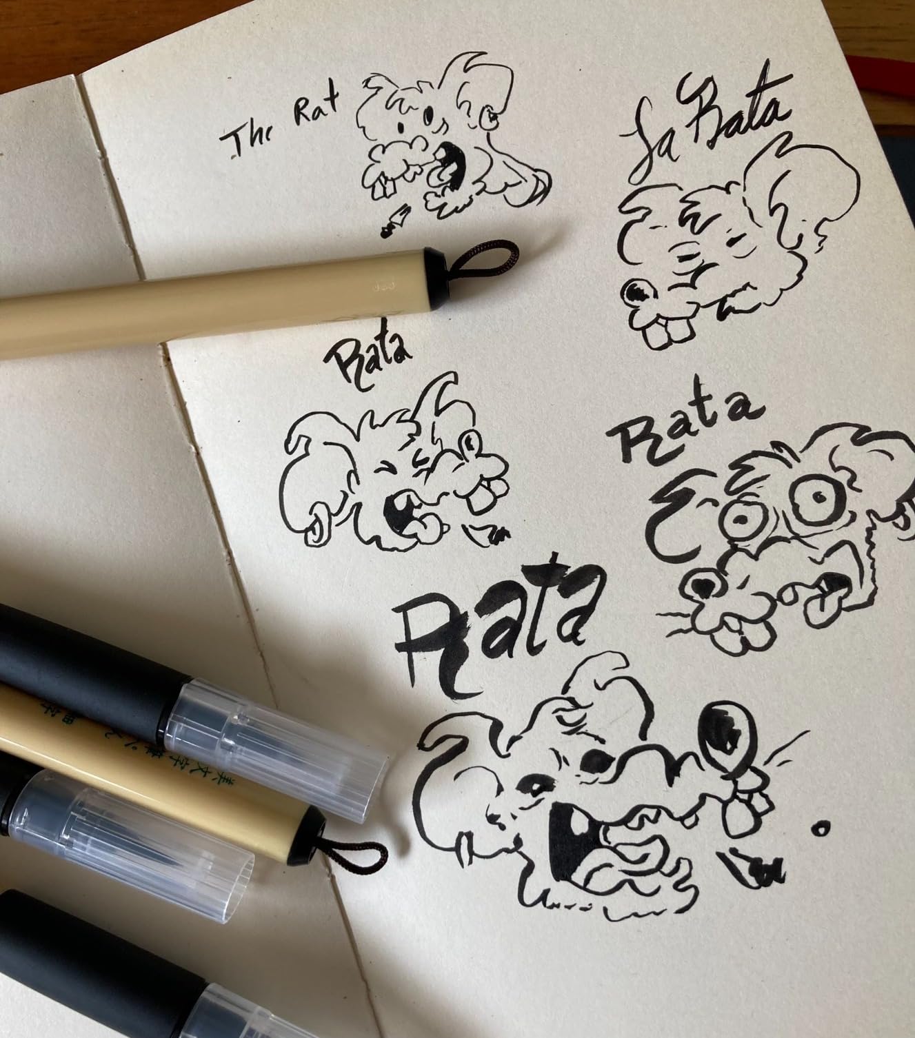Kuretake Bimoji Brush Pen, 5 pcs set (Extra Fine, Fine, Medium, Large, Medium Brush), great for Calligraphy, Hand lettering and Illustration customer photo 2