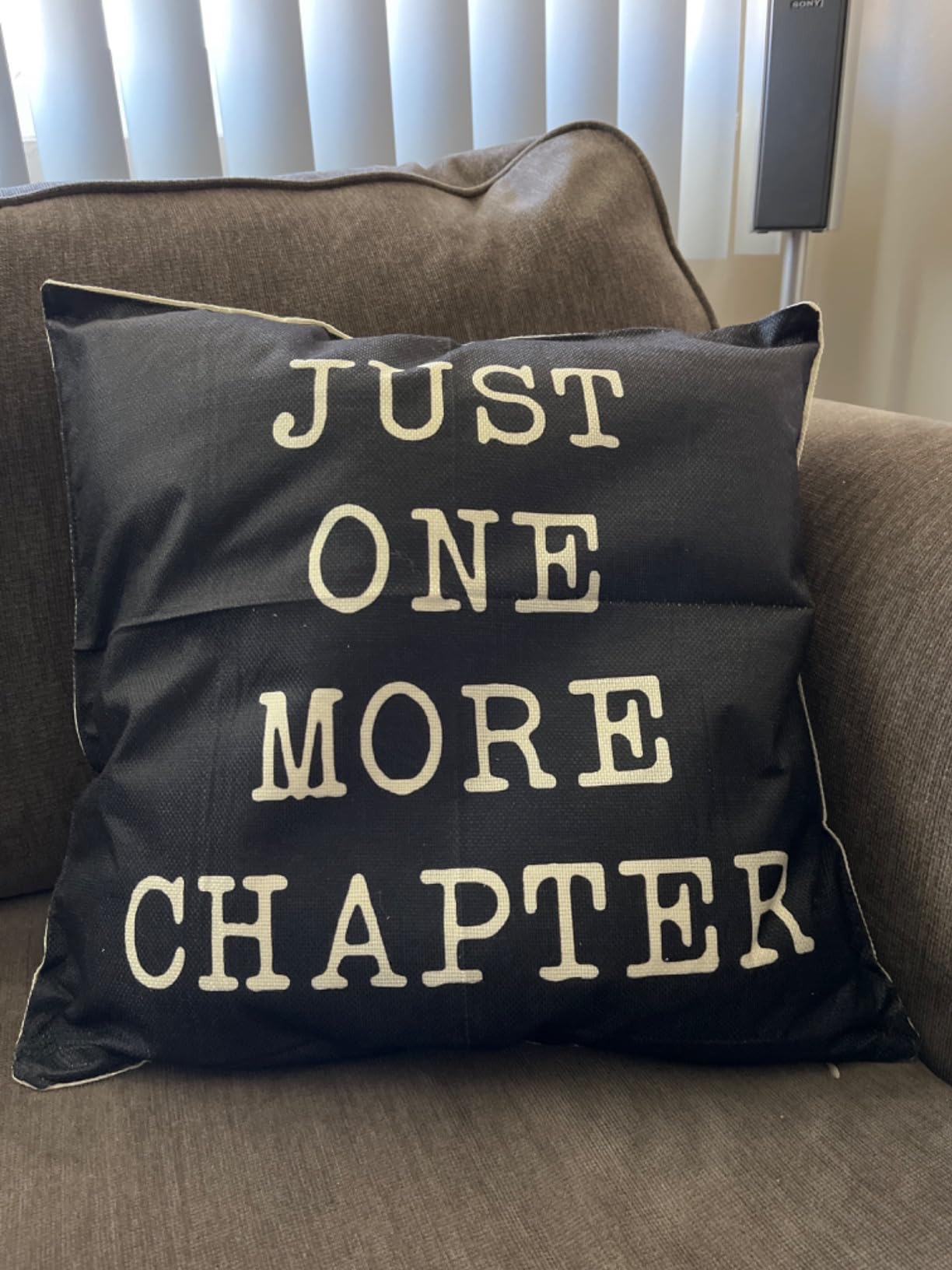 Just One More Chapter Motivational Sign Cotton Linen Home Decorative | Throw Pillow Case Cushion Cover with Words for Book Lover Worm Sofa Couch, Black, 18
