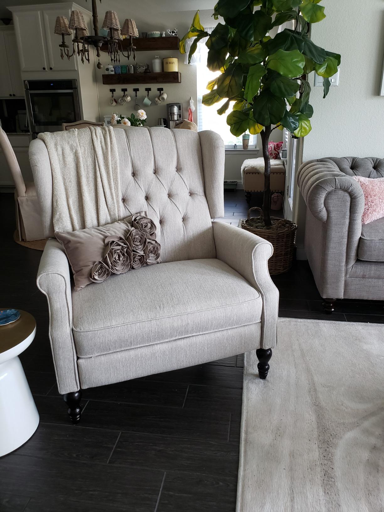 Christopher Knight Home Salome Push Back Recliner, Light Gray, Dark Brown customer photo 2