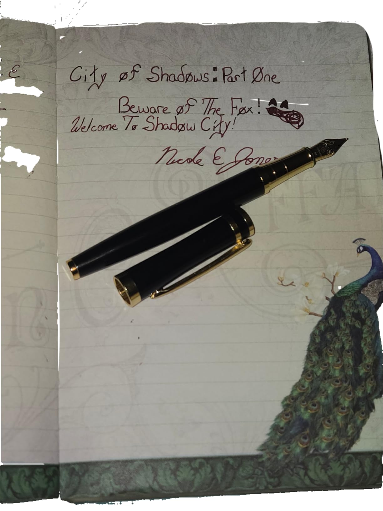 Diamine Fountain Pen Ink 30ml - Writer's Blood customer photo 1