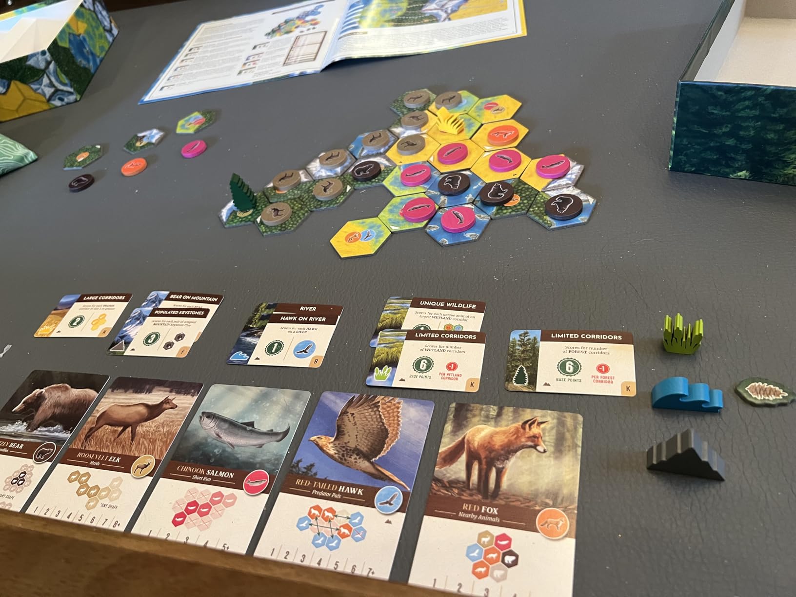 Cascadia, Award-Winning Cozy Nature Board Game Set in the Pacific Northwest | 1-4 Players, Ages 10+, 30-45 Mins, Relaxing Tile-Laying customer photo 1