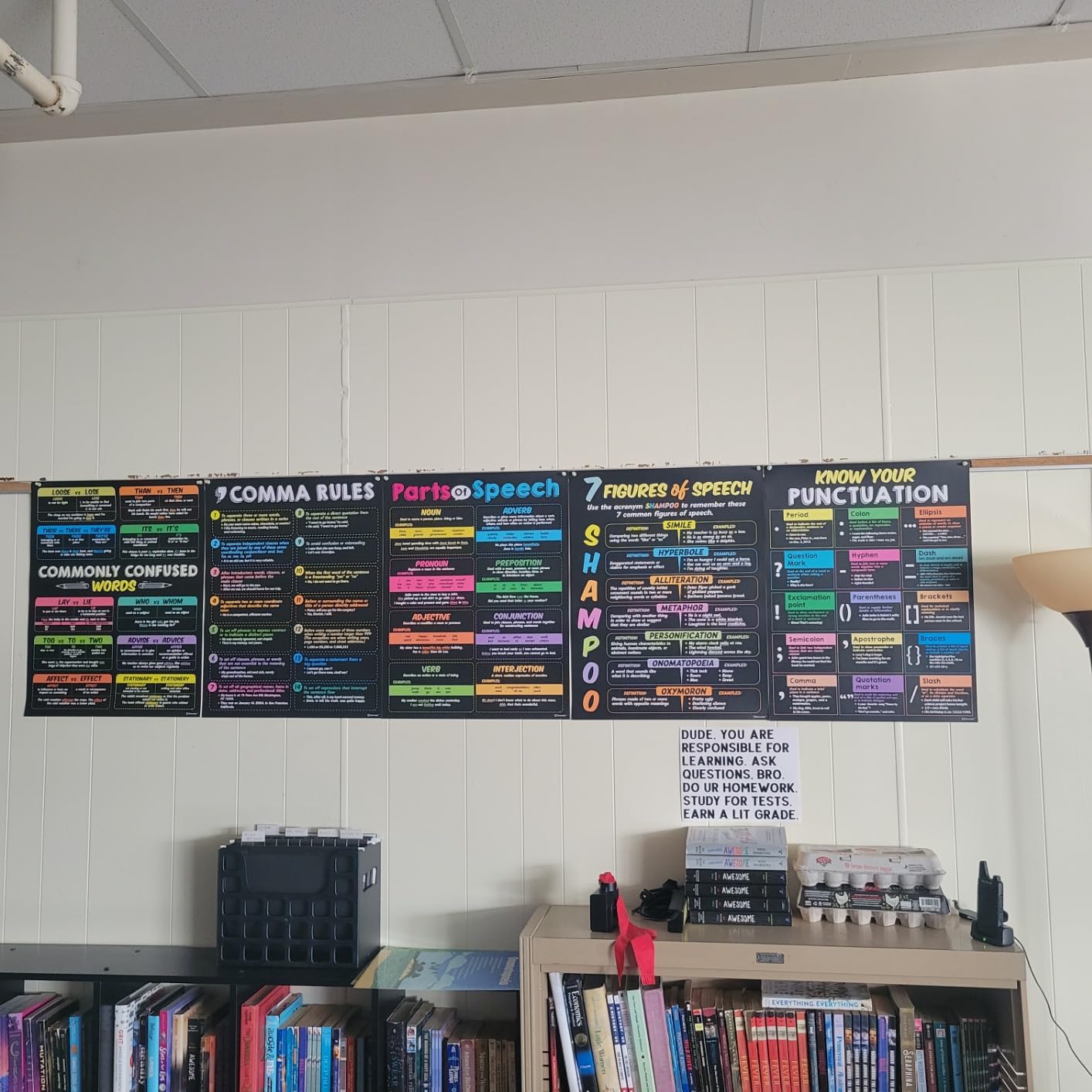 Decorably 5 Chalkboard English ELA Posters for Middle School | 17x22in Matte-Laminated Educational Classroom Posters - for Bulletin Boards, School Hallways, Home Study Room customer photo 1
