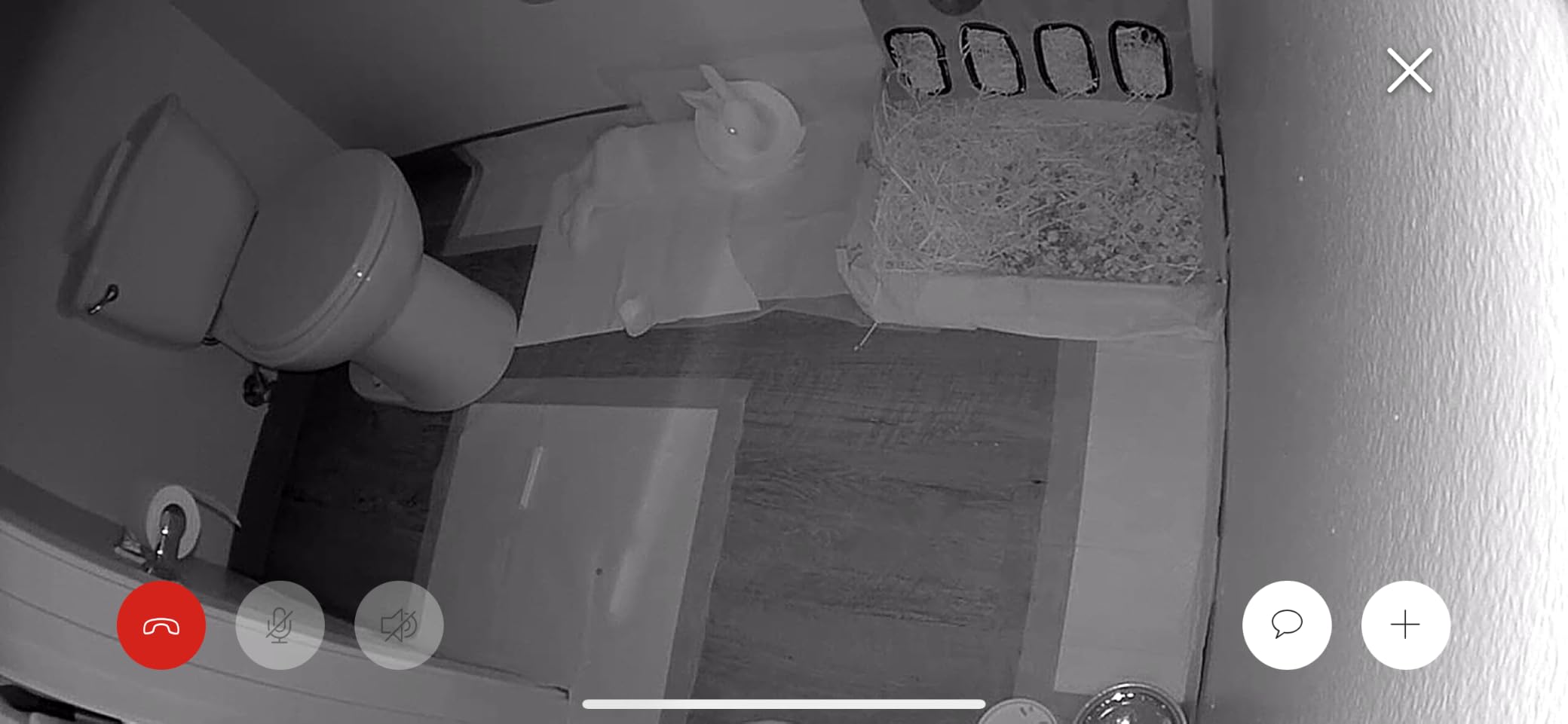 Ring Indoor Cam (newest model) - Home or business security in 1080p HD video, White customer photo 2