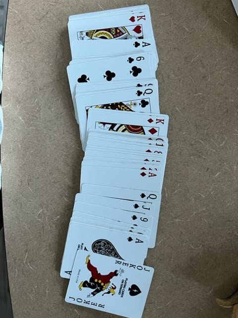 Joyful Moose Library Book Literary Deck of Playing Cards - Bookish Cards for Readers customer photo 2