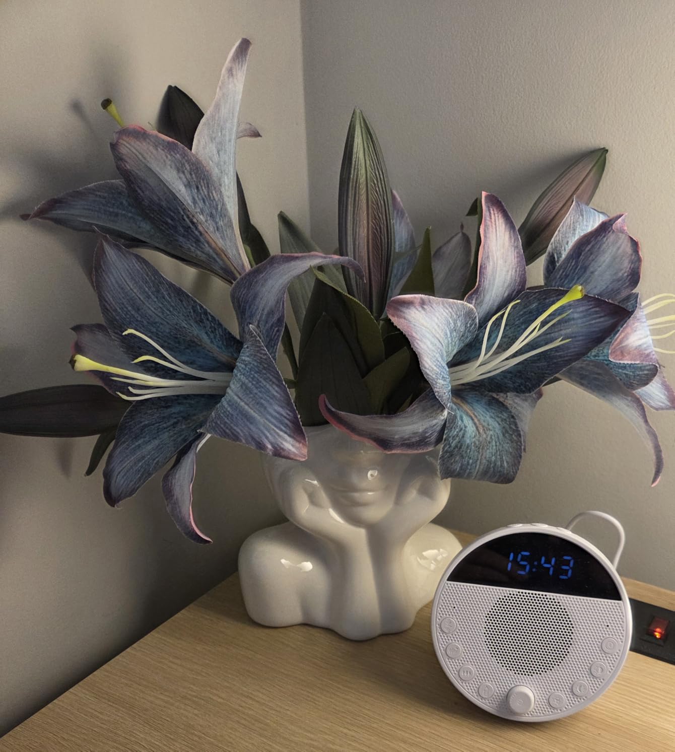 Large Ceramic Face Vase, White Flower Vases for Decor Female Form Head Half Body Vase Boho Unique Decorative Modern Style for Home Living Room Office Book Shelf (Large) customer photo 1