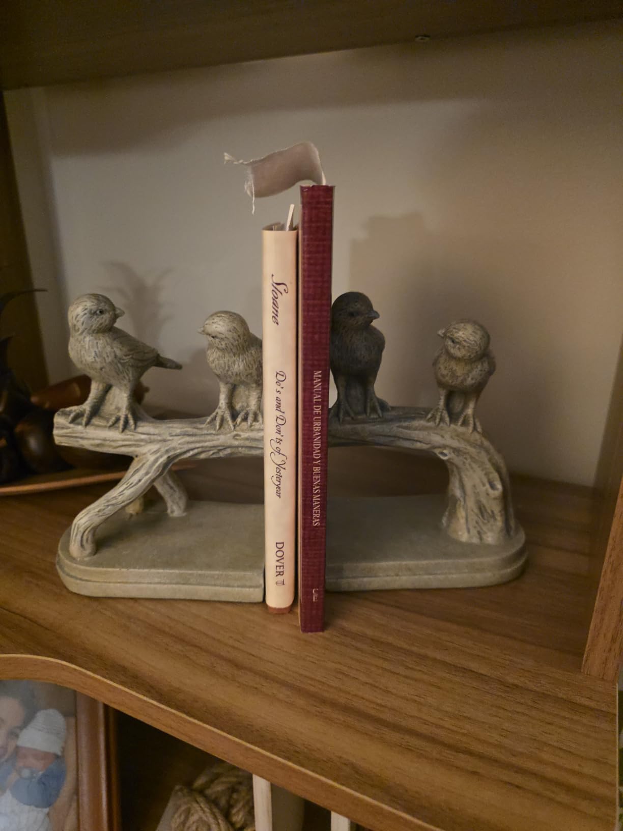 Decorative-Bookends Birds Book-Ends Heavy Duty - Unique Book Ends to Hold Books Heavy Duty Antique Book Stoppers for Shelf Office Desk Books Stand Organizer 2.3 LBS 4.75 * 4 * 6 in Newman House Studio customer photo 2