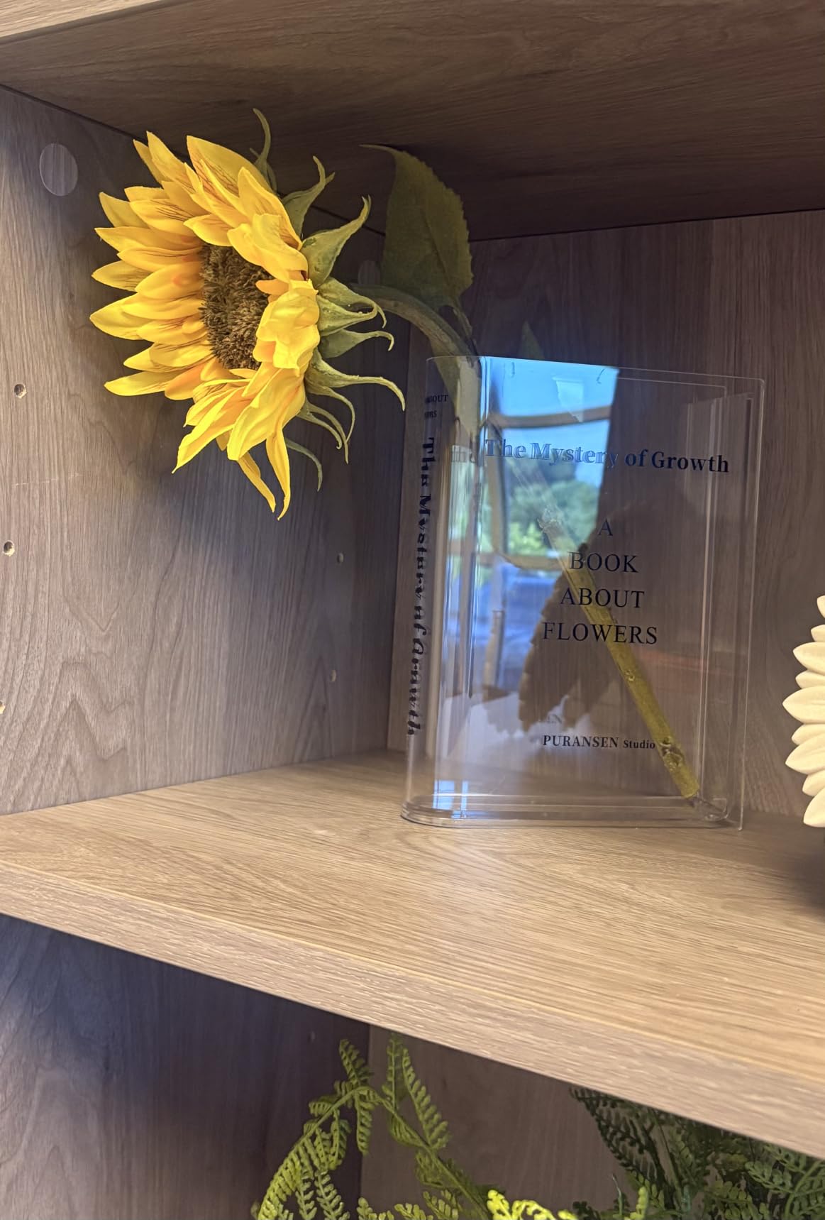 Puransen Clear Book Flower Vase - Floral Bookshelf Decor, Acrylic Flower Holder & Space-Saving Organizer, Modern Home Office/Study Desk Minimalist Aesthetic (Not Including Flowers) customer photo 1