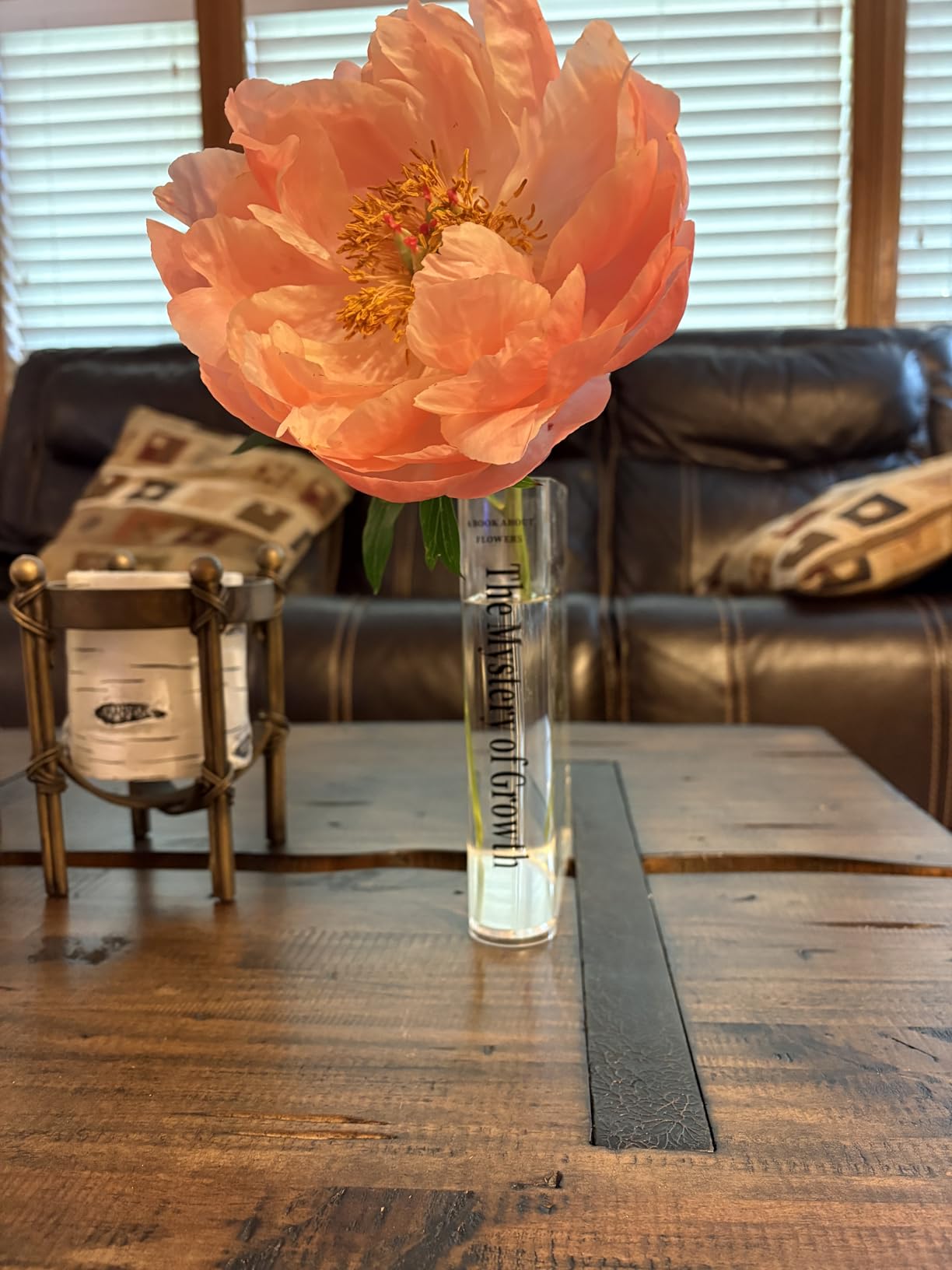 Puransen Clear Book Flower Vase - Floral Bookshelf Decor, Acrylic Flower Holder & Space-Saving Organizer, Modern Home Office/Study Desk Minimalist Aesthetic (Not Including Flowers) customer photo 2